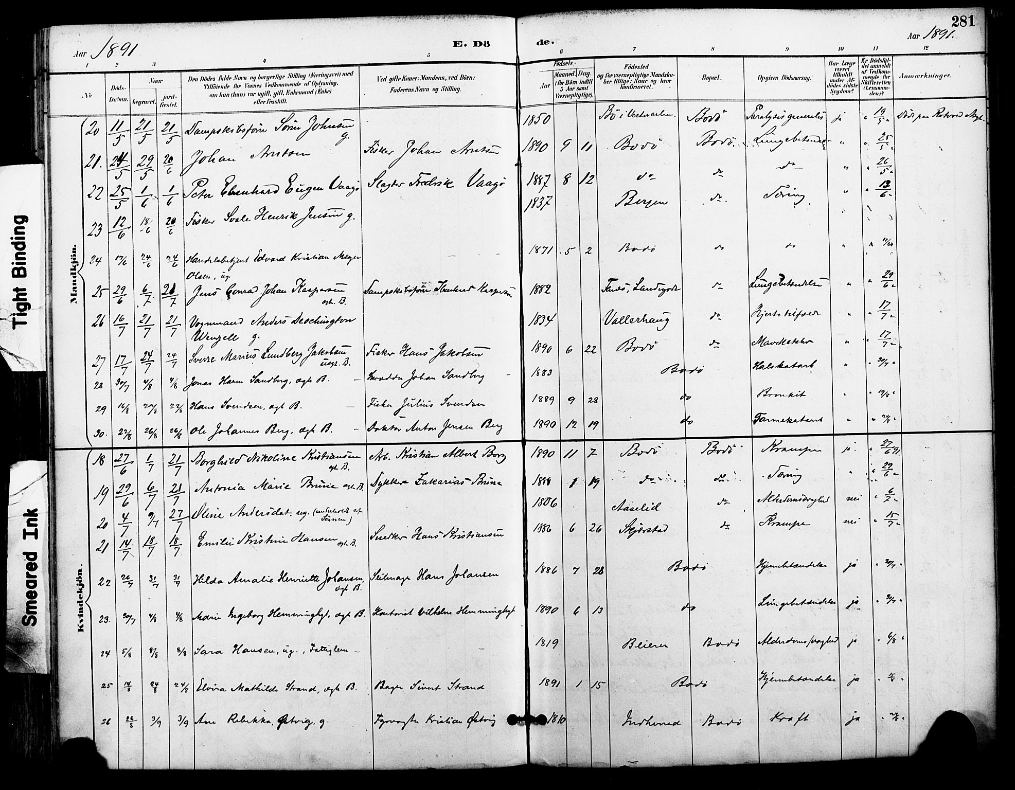 Ministerialprotokoller, klokkerbøker og fødselsregistre - Nordland, AV/SAT-A-1459/801/L0010: Parish register (official) no. 801A10, 1888-1899, p. 281