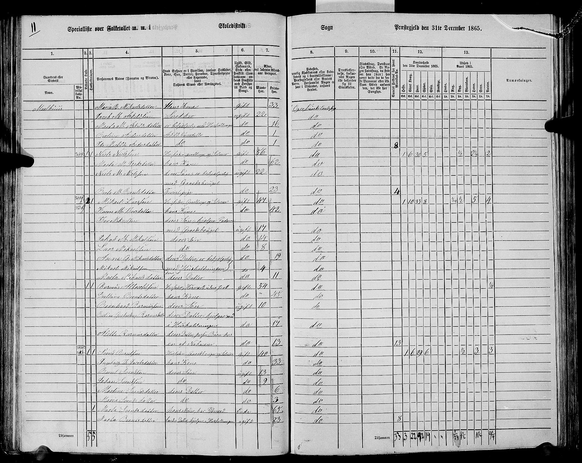 RA, 1865 census for Eigersund/Eigersund og Ogna, 1865, p. 67