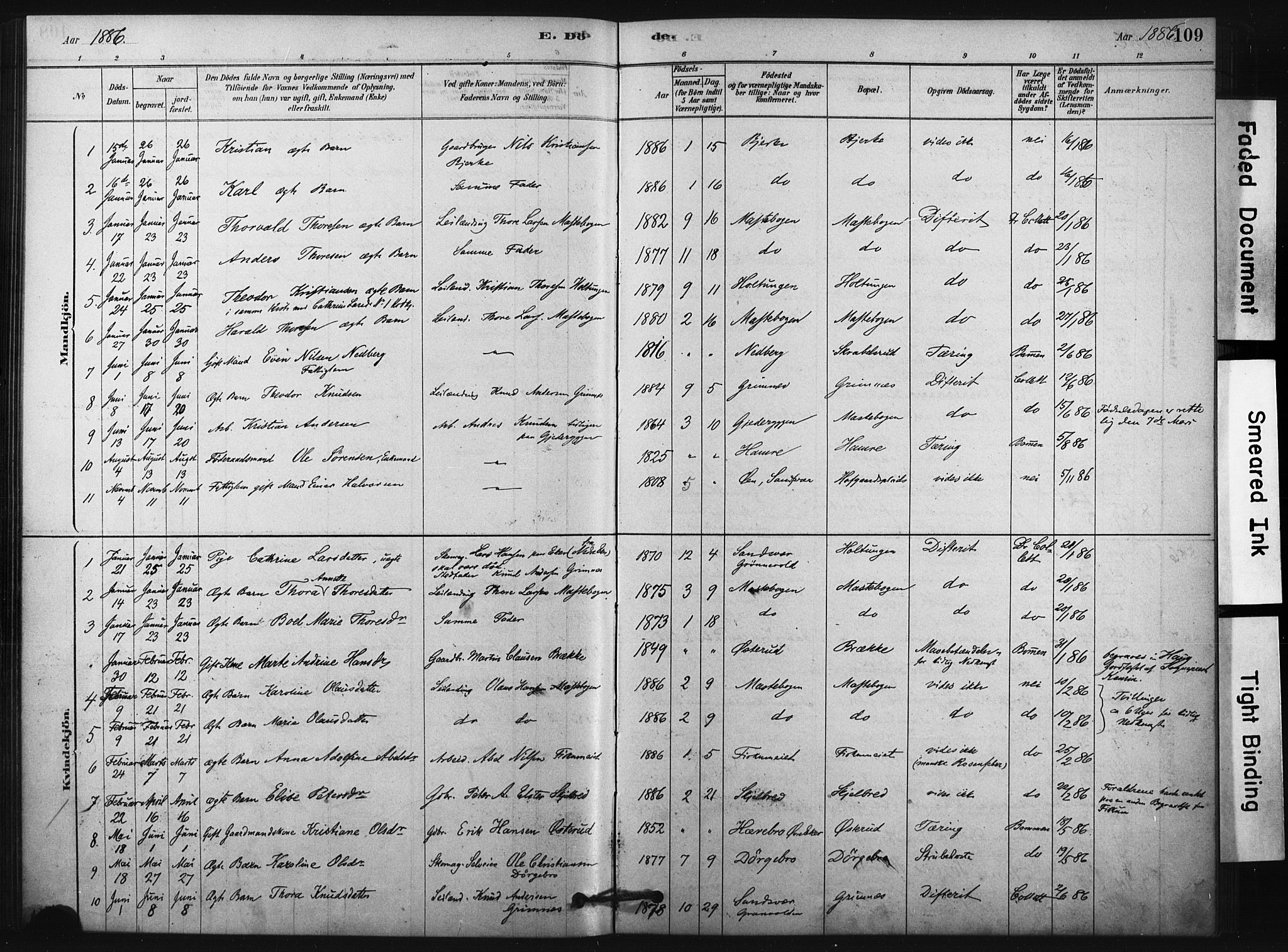 Fiskum kirkebøker, SAKO/A-15/F/Fa/L0002: Parish register (official) no. 2, 1878-1890, p. 109