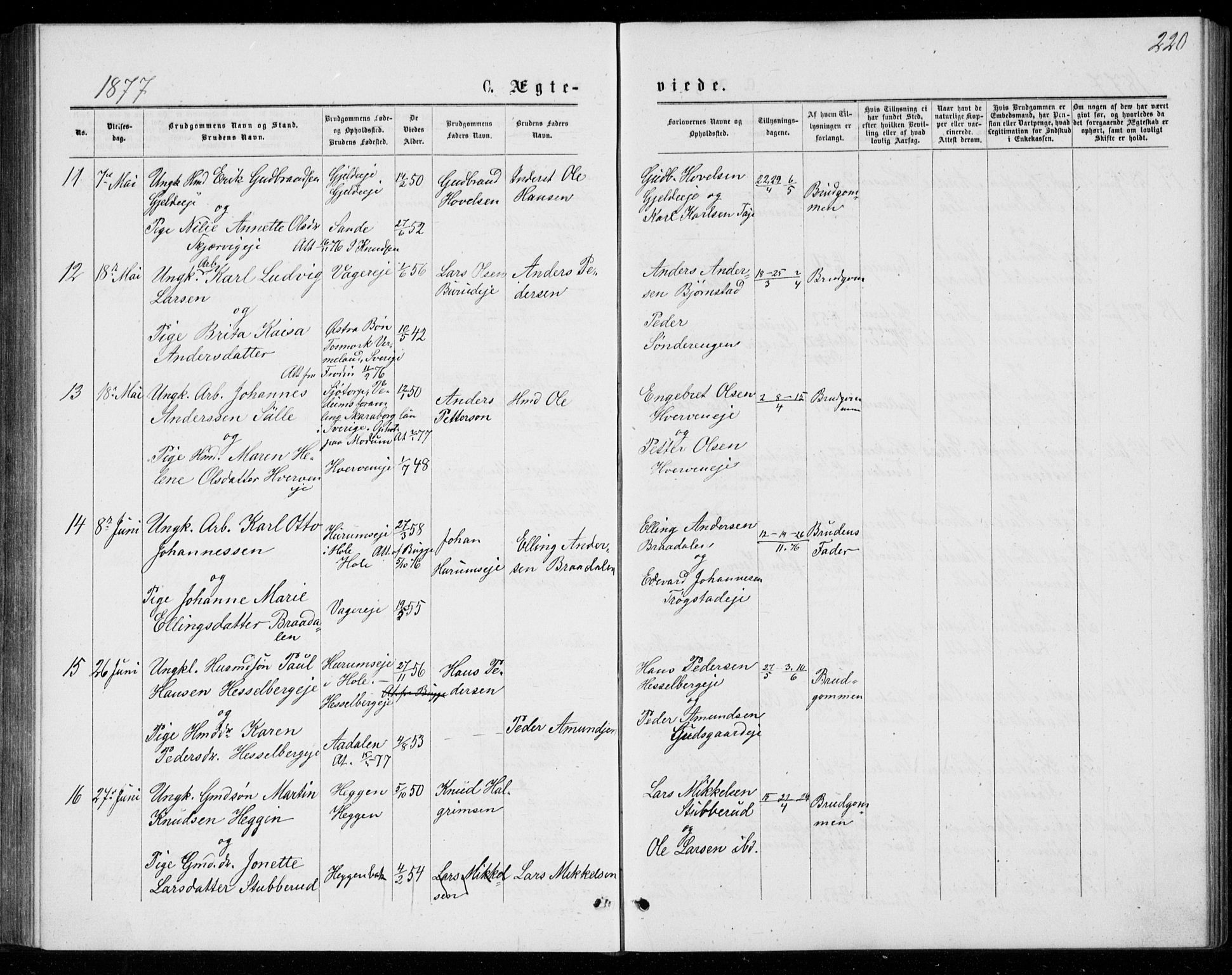 Norderhov kirkebøker, AV/SAKO-A-237/G/Ga/L0007: Parish register (copy) no. I 7, 1877-1887, p. 220