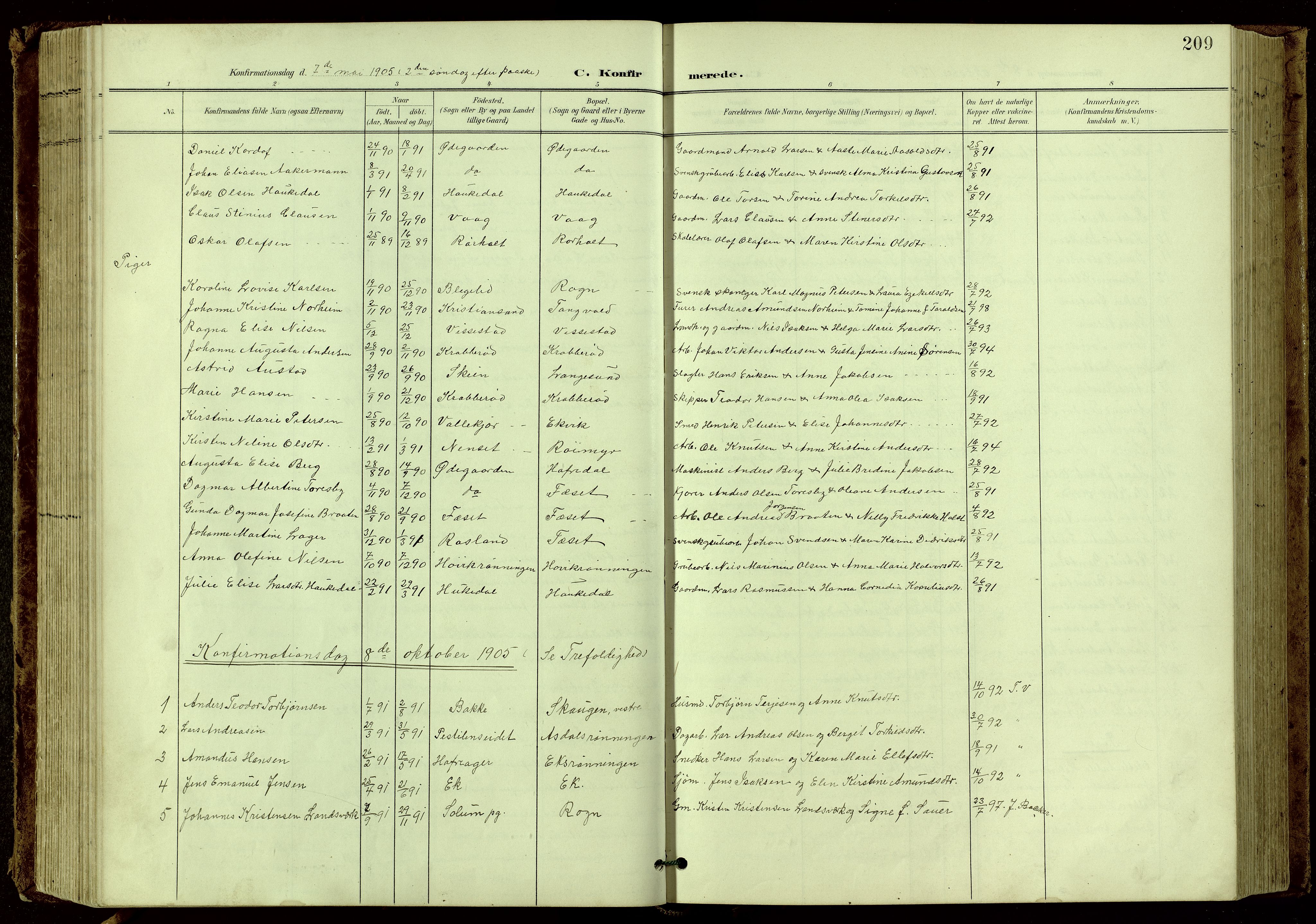 Bamble kirkebøker, SAKO/A-253/G/Ga/L0010: Parish register (copy) no. I 10, 1901-1919, p. 209