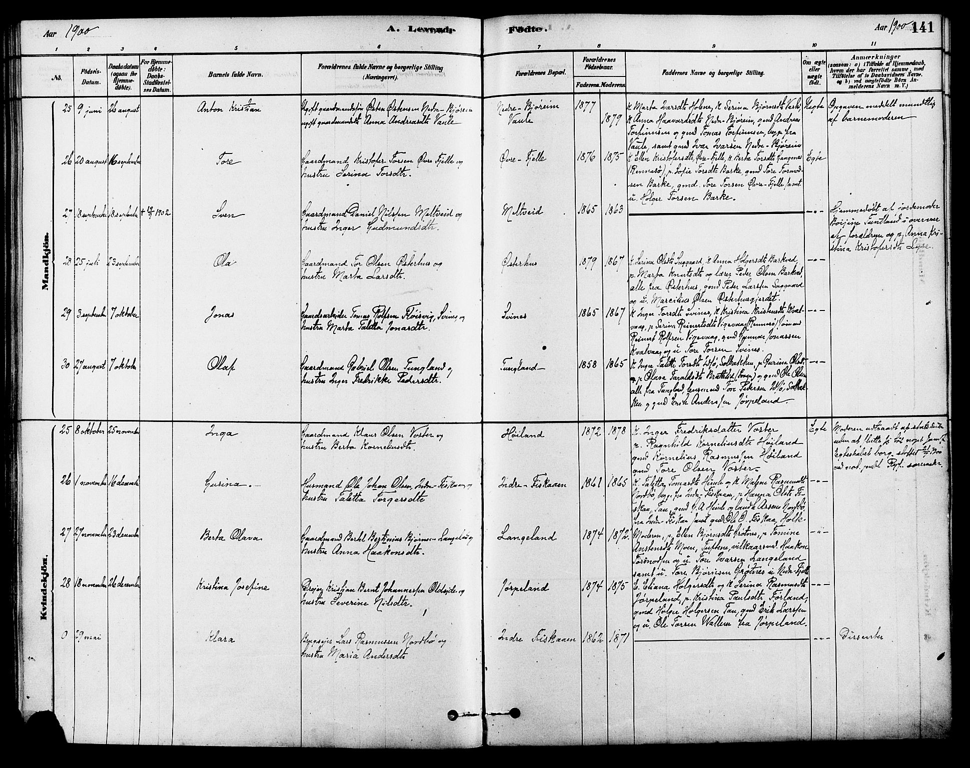Strand sokneprestkontor, AV/SAST-A-101828/H/Ha/Haa/L0009: Parish register (official) no. A 9, 1877-1908, p. 141