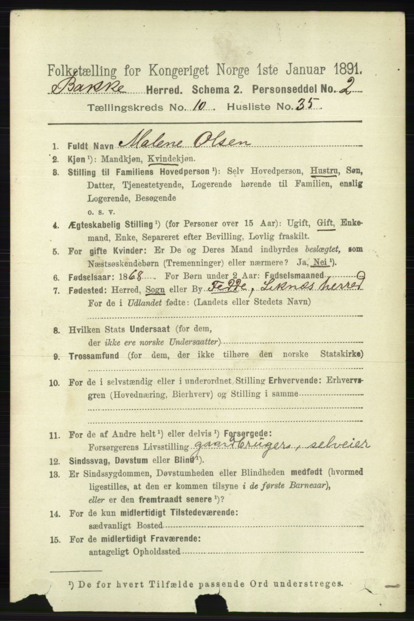 RA, 1891 census for 1045 Bakke, 1891, p. 2195