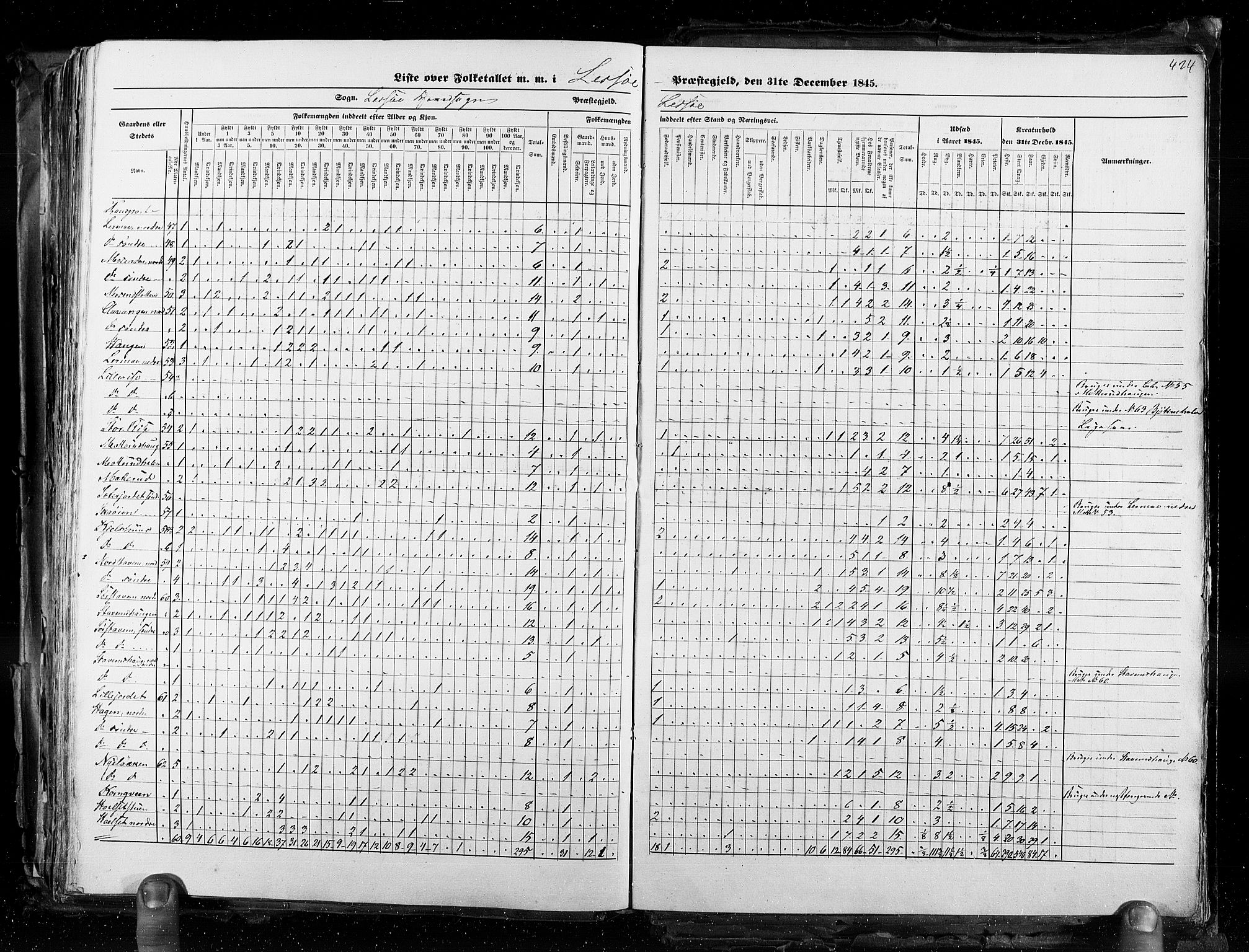 RA, Census 1845, vol. 3: Hedemarken amt og Kristians amt, 1845, p. 424