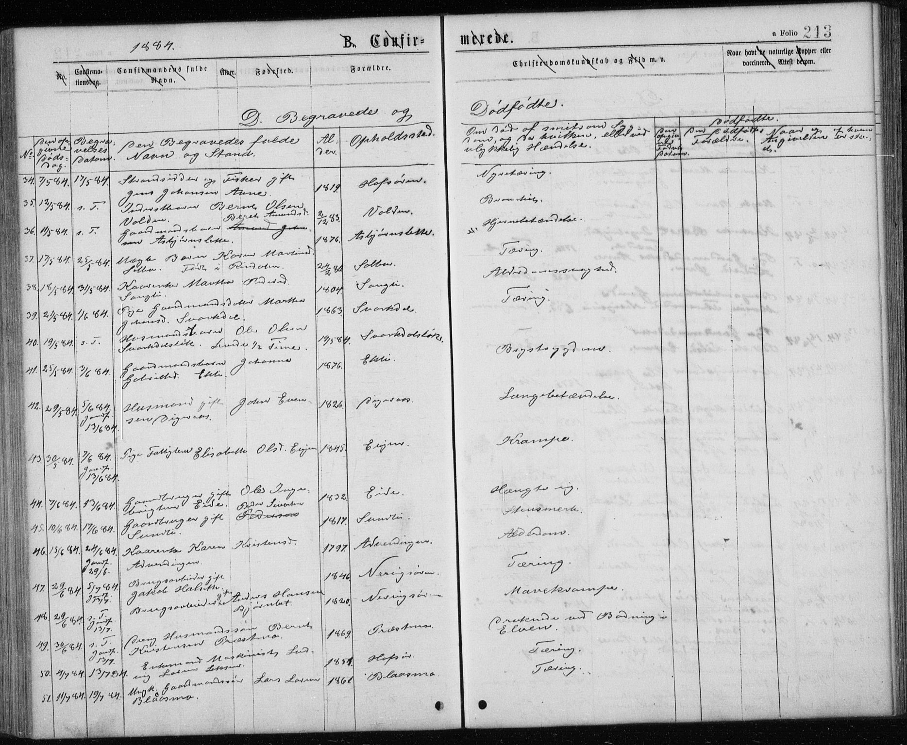 Ministerialprotokoller, klokkerbøker og fødselsregistre - Sør-Trøndelag, SAT/A-1456/668/L0817: Parish register (copy) no. 668C06, 1873-1884, p. 213