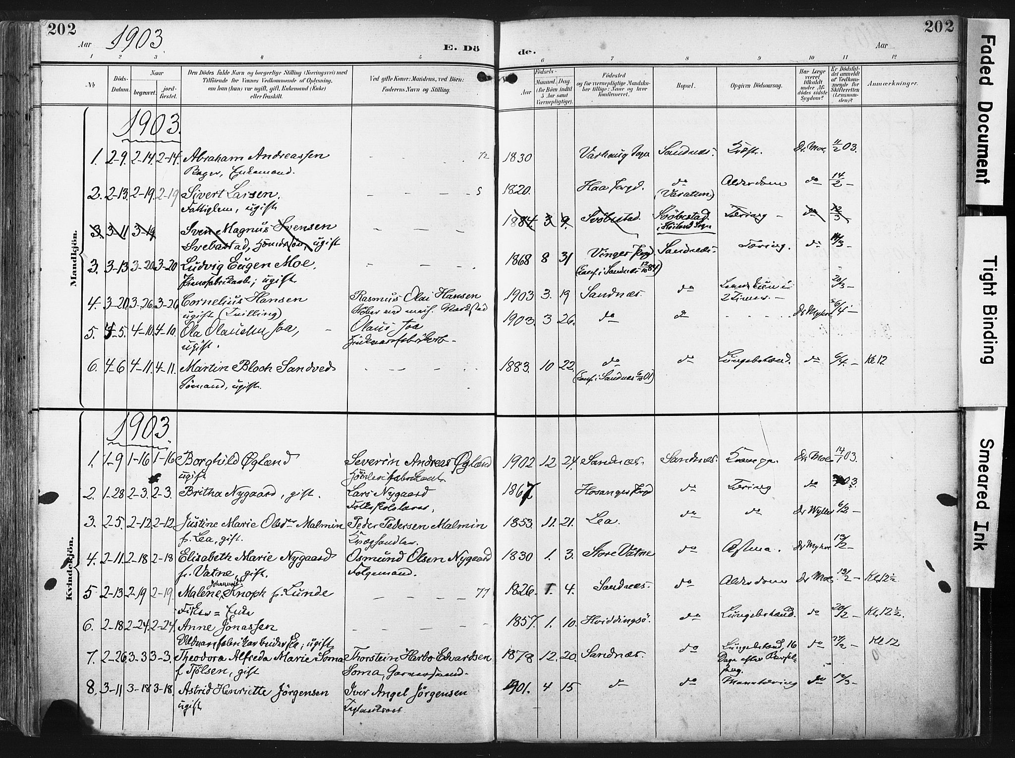 Høyland sokneprestkontor, SAST/A-101799/001/30BA/L0016: Parish register (official) no. A 16, 1899-1911, p. 202