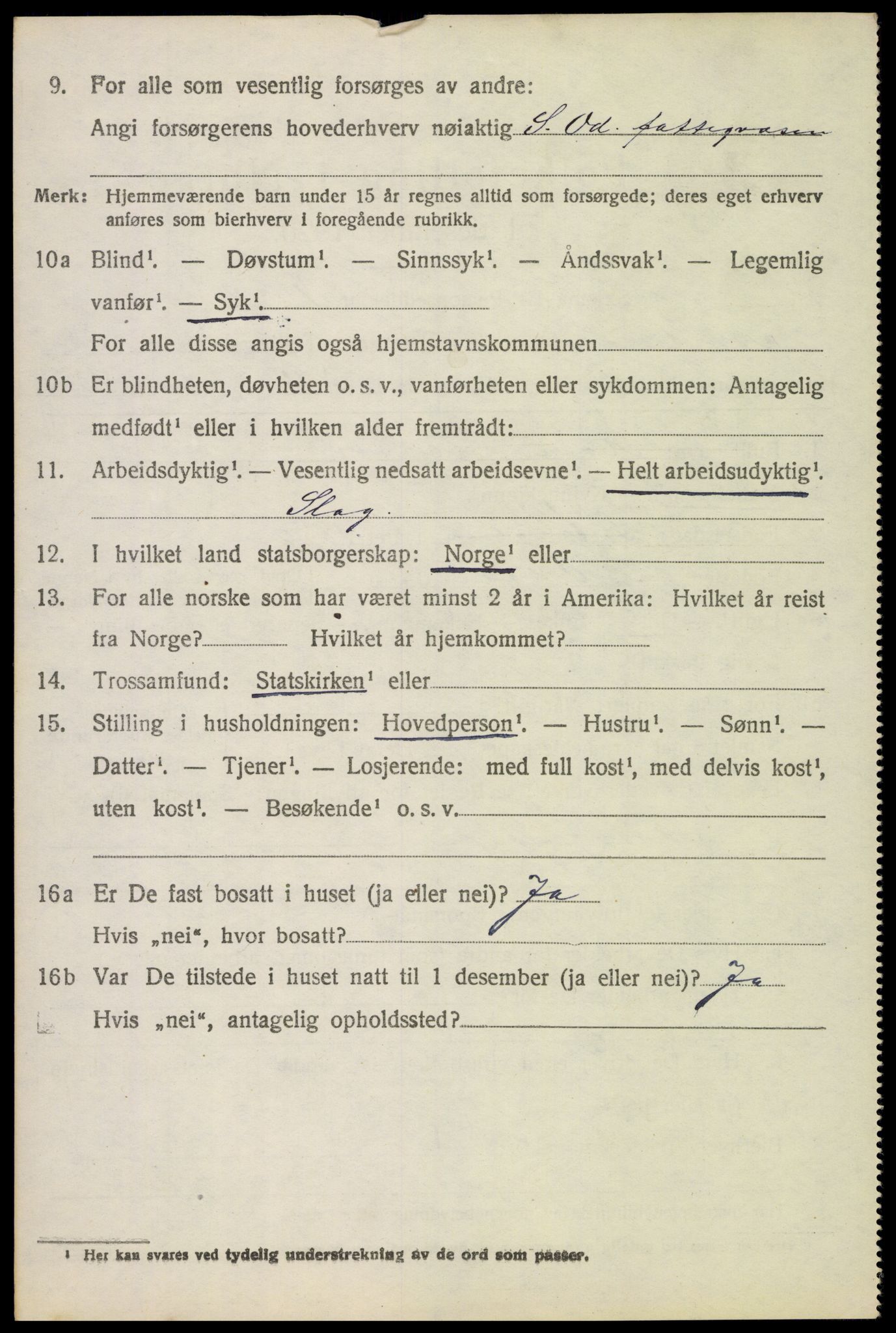 SAH, 1920 census for Sør-Odal, 1920, p. 4336
