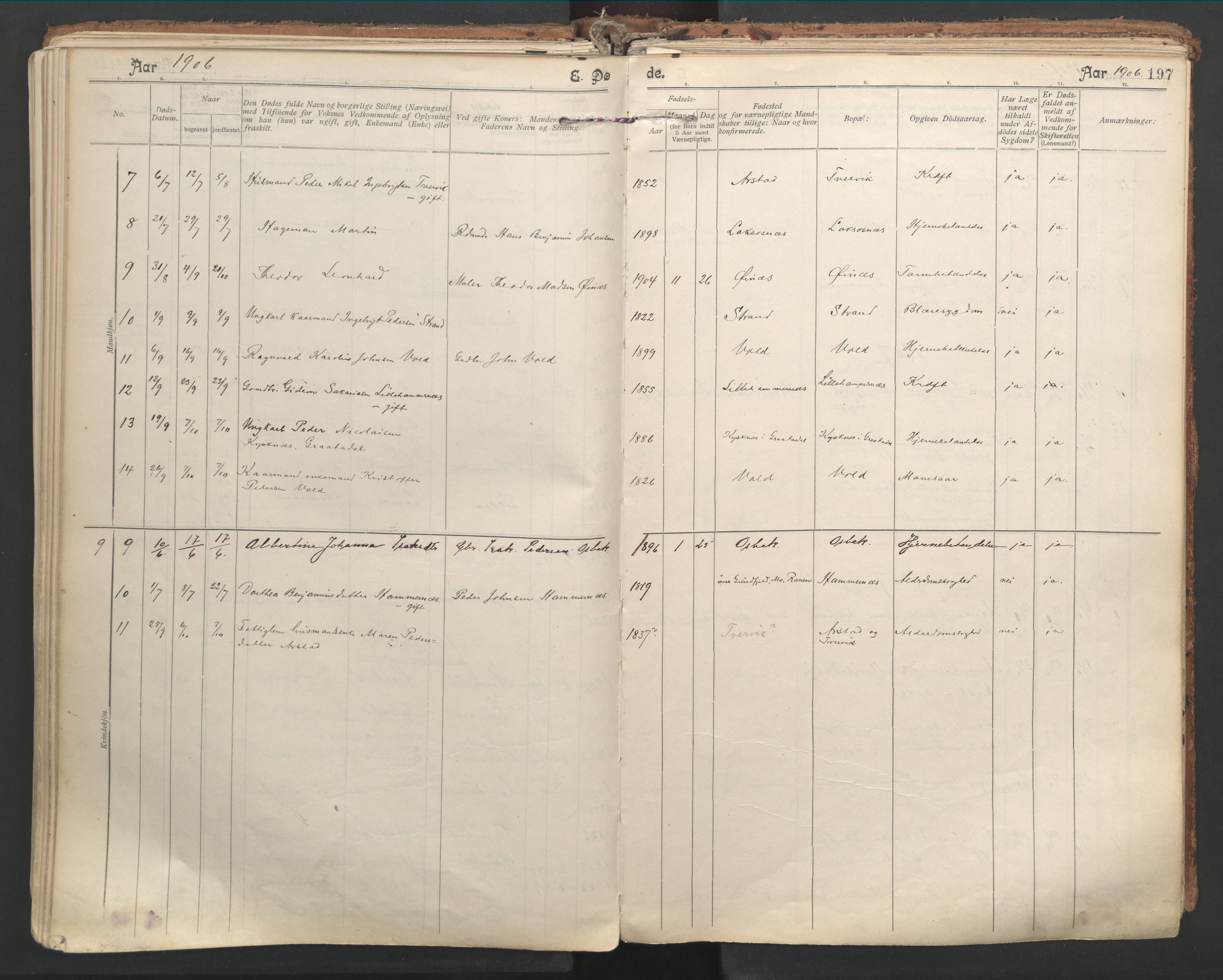 Ministerialprotokoller, klokkerbøker og fødselsregistre - Nordland, SAT/A-1459/846/L0647: Parish register (official) no. 846A05, 1902-1915, p. 197