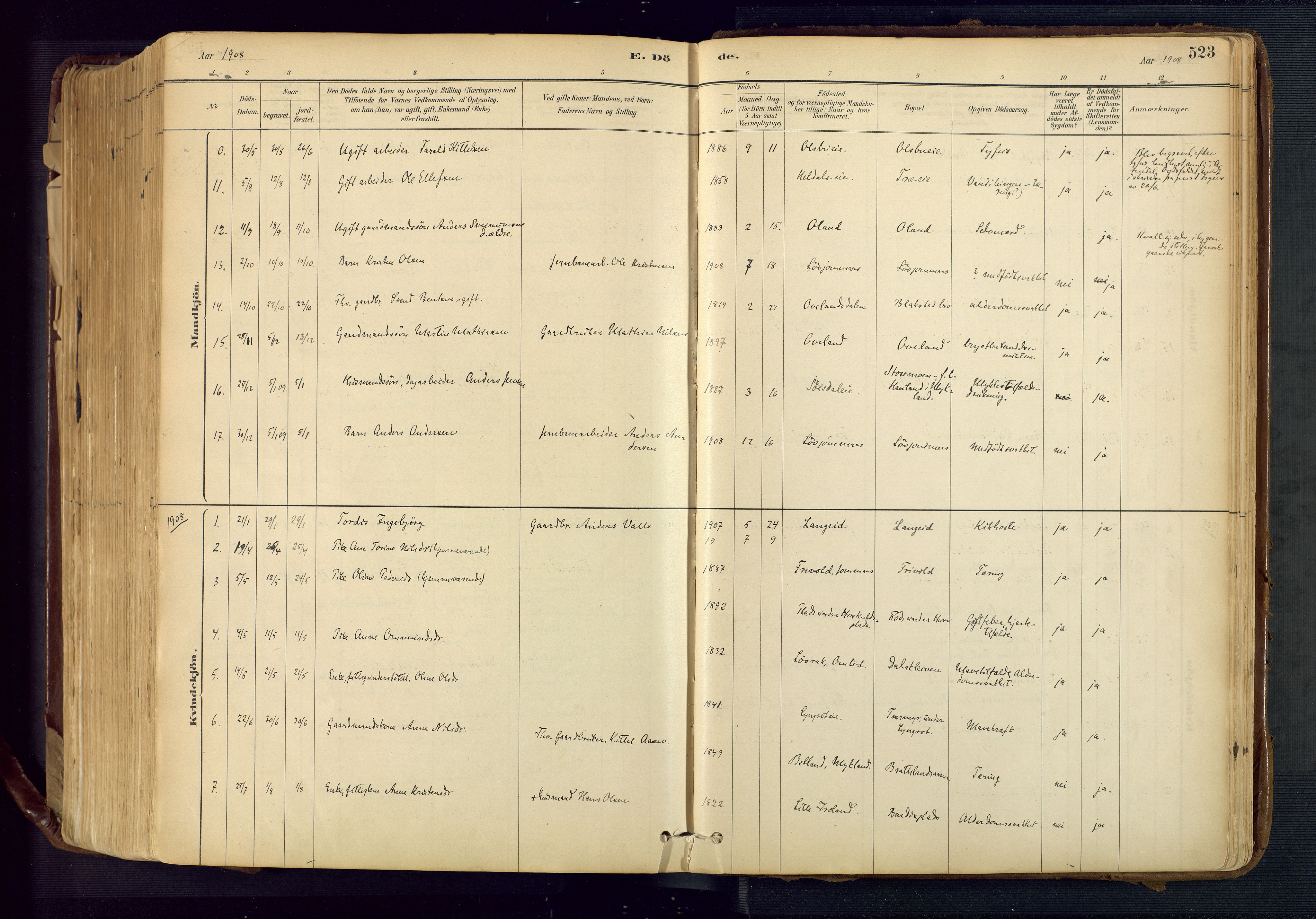 Froland sokneprestkontor, SAK/1111-0013/F/Fa/L0005: Parish register (official) no. A 5, 1882-1921, p. 523