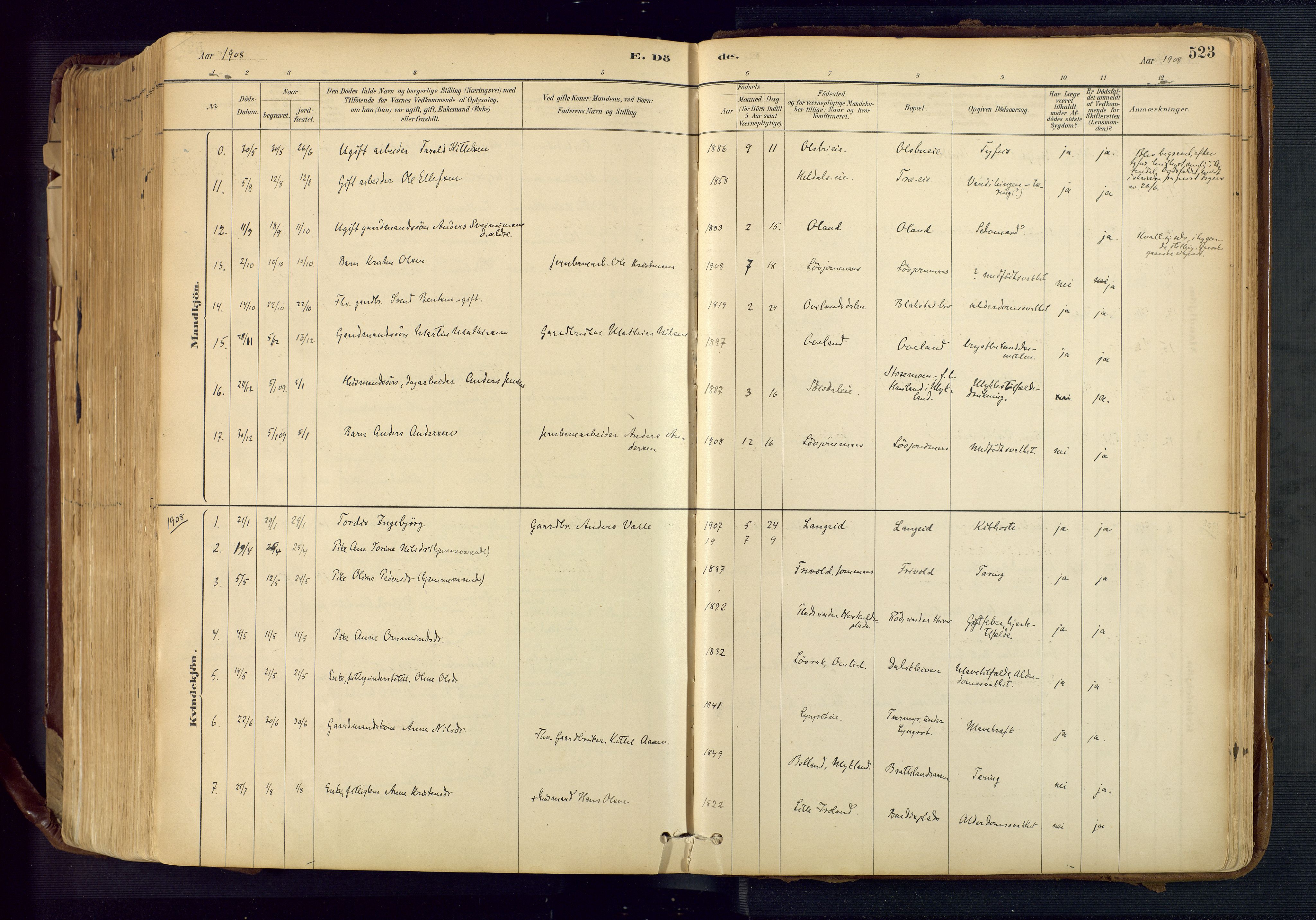 Froland sokneprestkontor, AV/SAK-1111-0013/F/Fa/L0005: Parish register (official) no. A 5, 1882-1921, p. 523