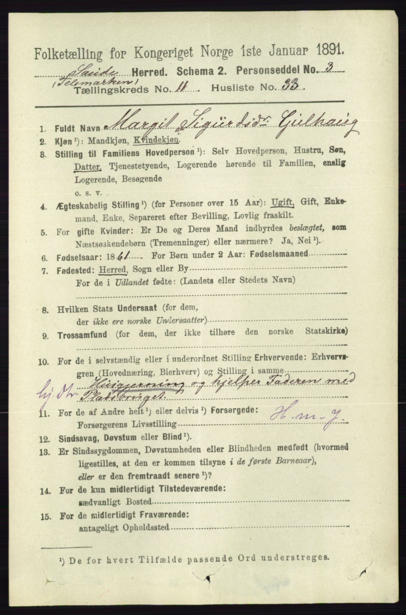 RA, 1891 census for 0822 Sauherad, 1891, p. 3562