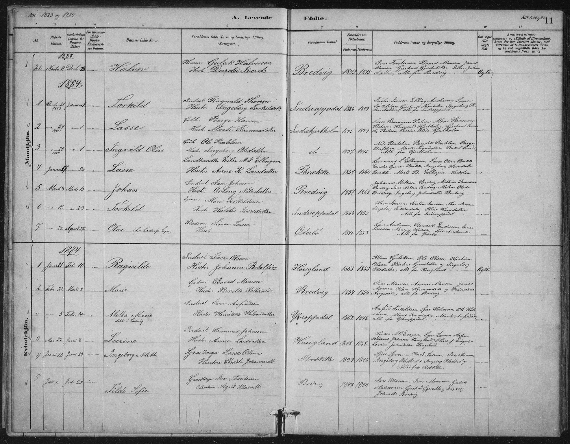 Gulen sokneprestembete, AV/SAB-A-80201/H/Hab/Habc/L0002: Parish register (copy) no. C 2, 1880-1938, p. 11