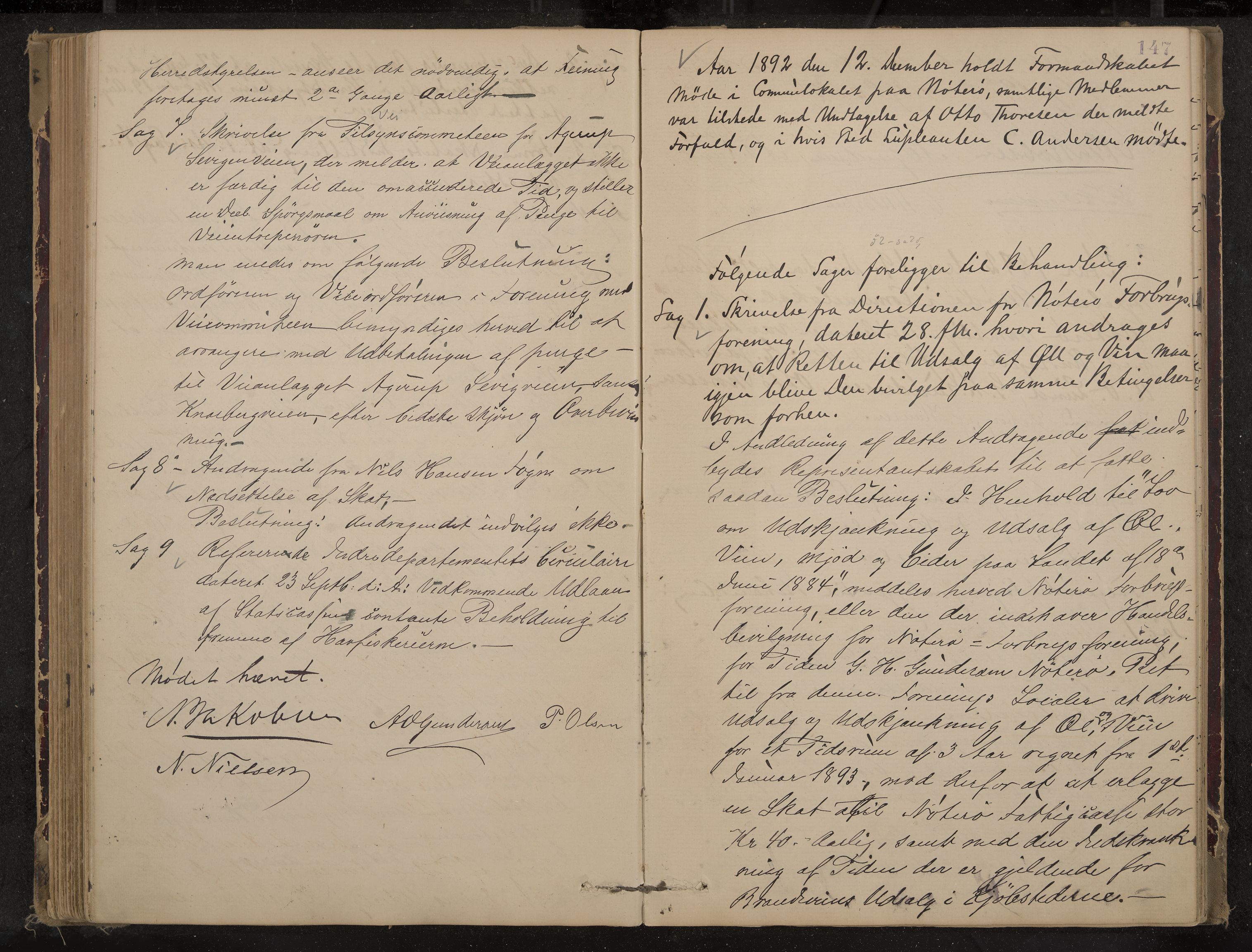 Nøtterøy formannskap og sentraladministrasjon, IKAK/0722021-1/A/Aa/L0004: Møtebok, 1887-1896, p. 147