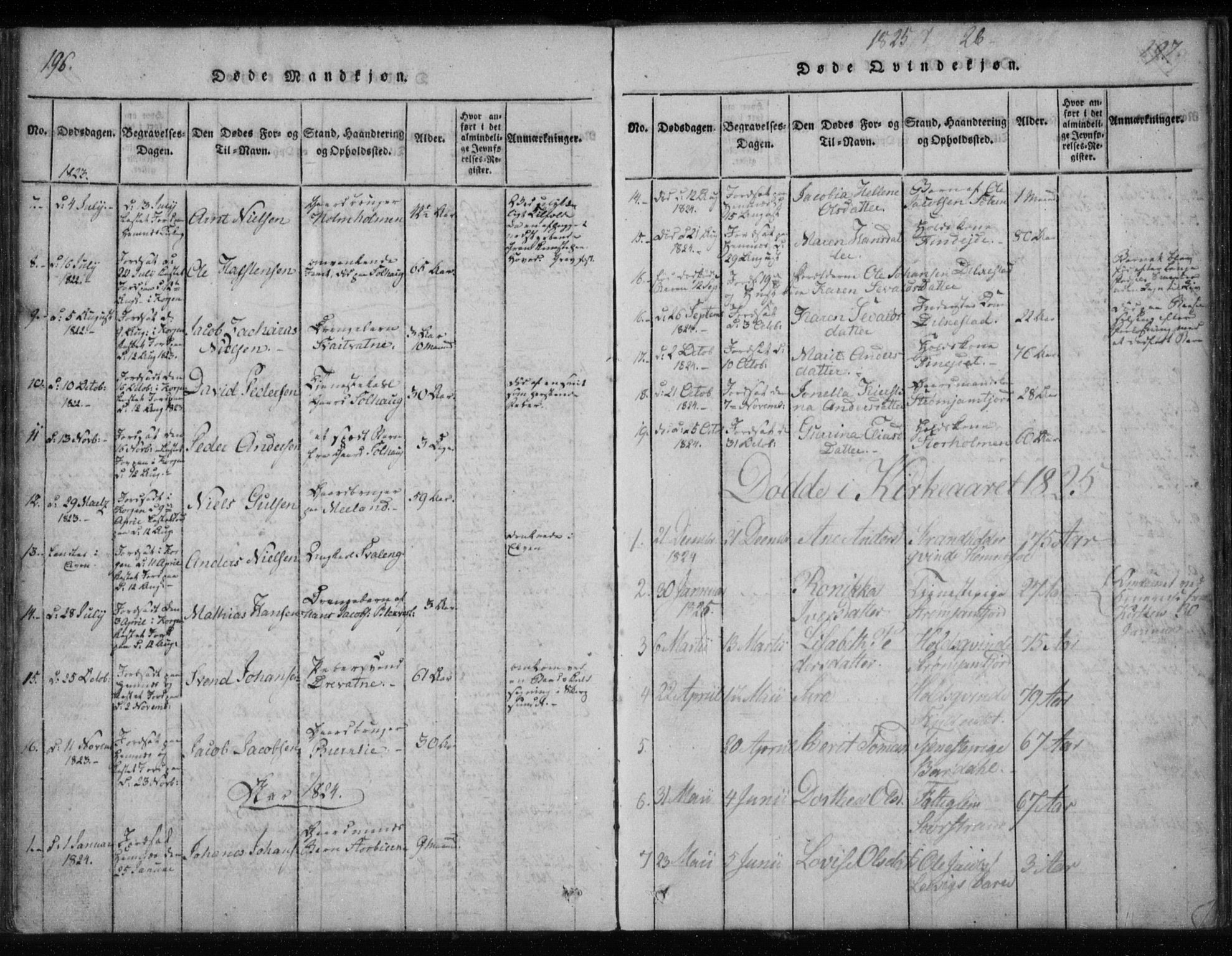 Ministerialprotokoller, klokkerbøker og fødselsregistre - Nordland, AV/SAT-A-1459/825/L0353: Parish register (official) no. 825A07, 1820-1826, p. 196-197