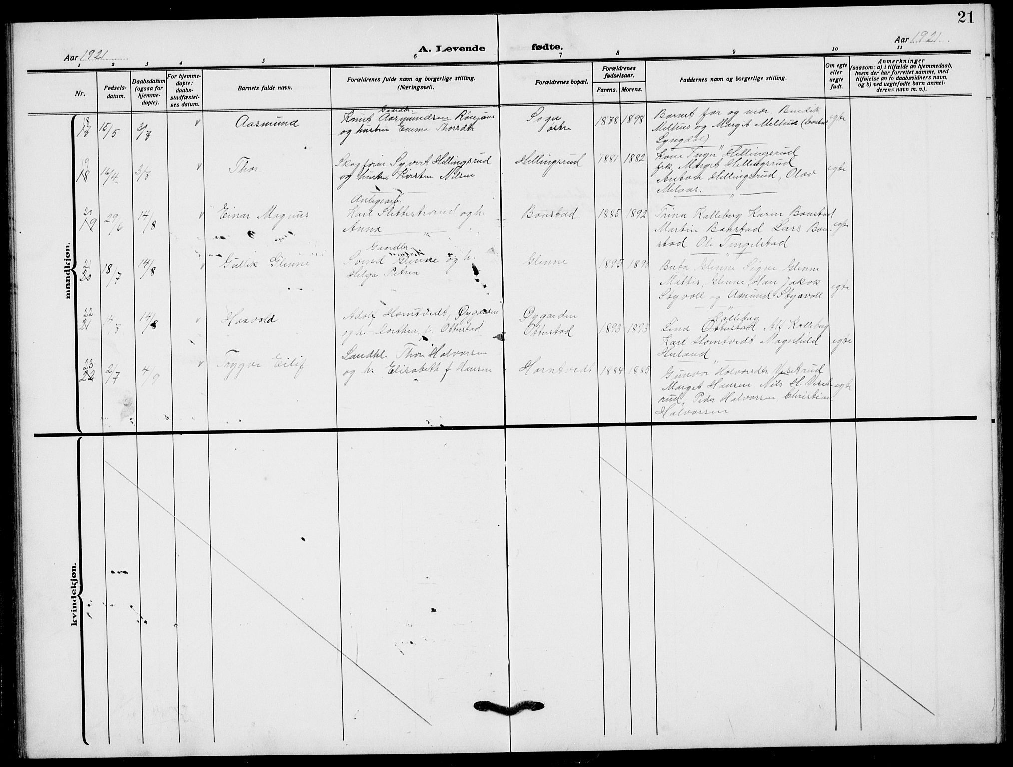 Lardal kirkebøker, AV/SAKO-A-350/G/Ga/L0003a: Parish register (copy) no. I 3, 1917-1937, p. 21