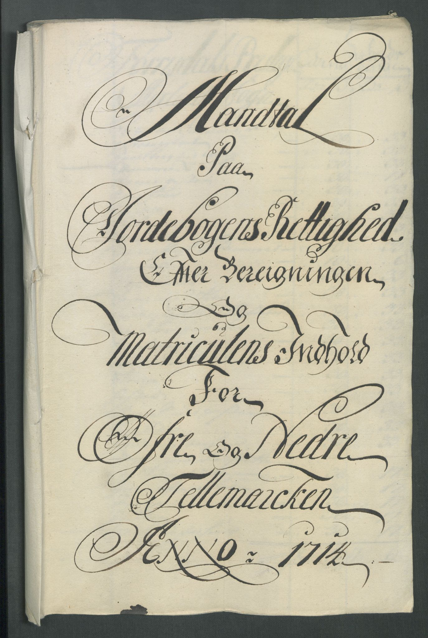 Rentekammeret inntil 1814, Reviderte regnskaper, Fogderegnskap, RA/EA-4092/R36/L2126: Fogderegnskap Øvre og Nedre Telemark og Bamble, 1714, p. 128