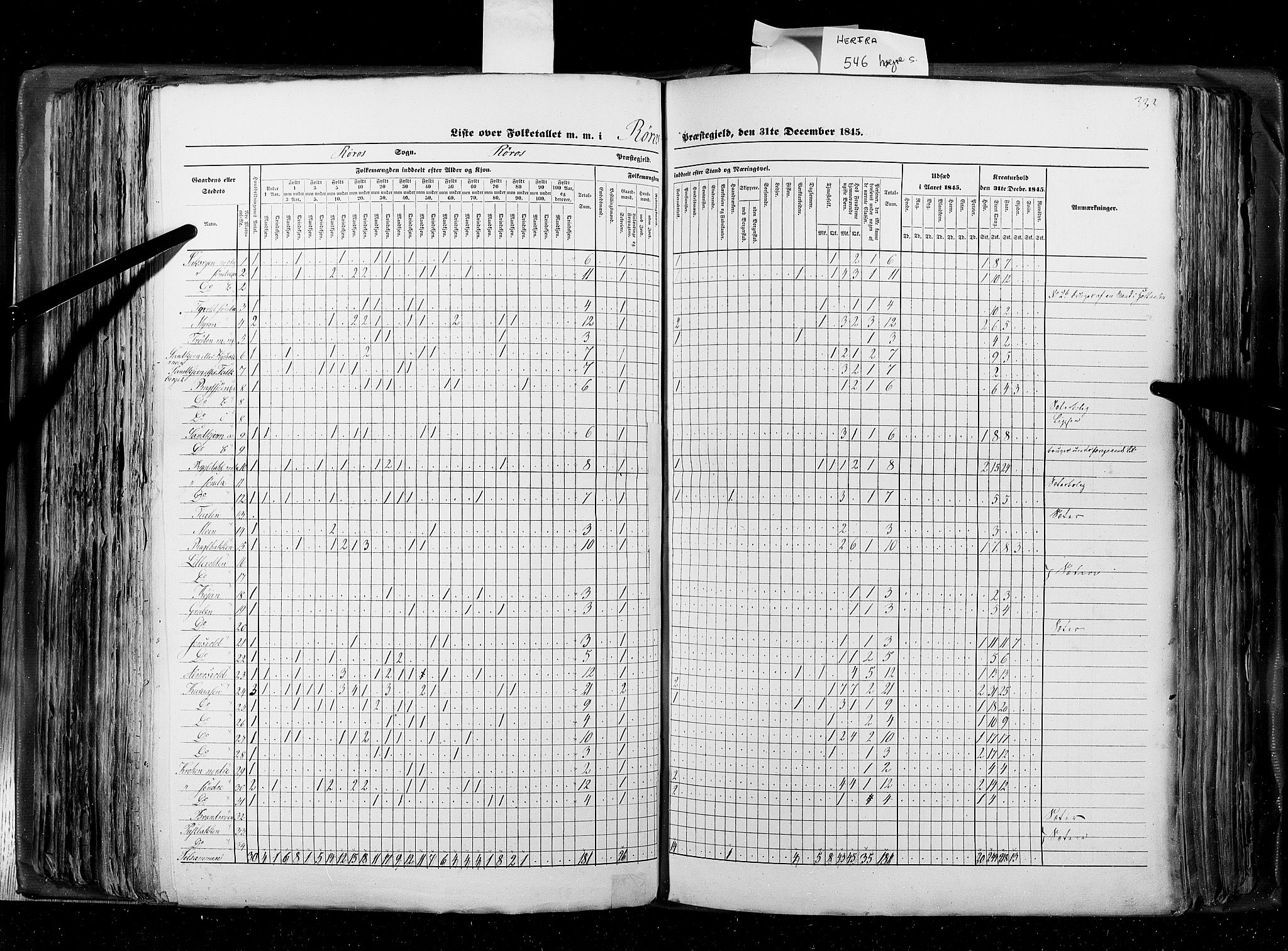 RA, Census 1845, vol. 8: Romsdal amt og Søndre Trondhjems amt, 1845, p. 333