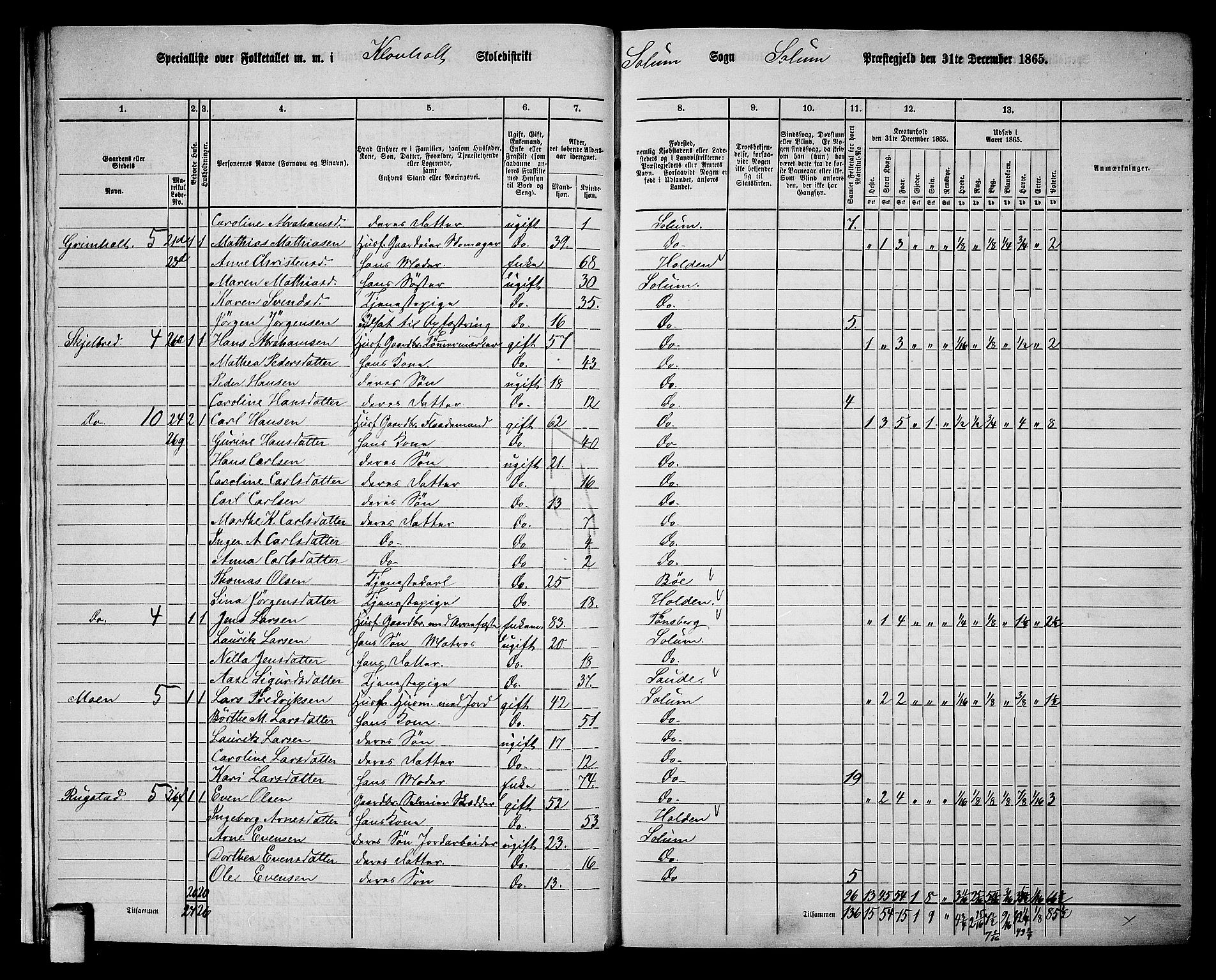 RA, 1865 census for Solum, 1865, p. 20