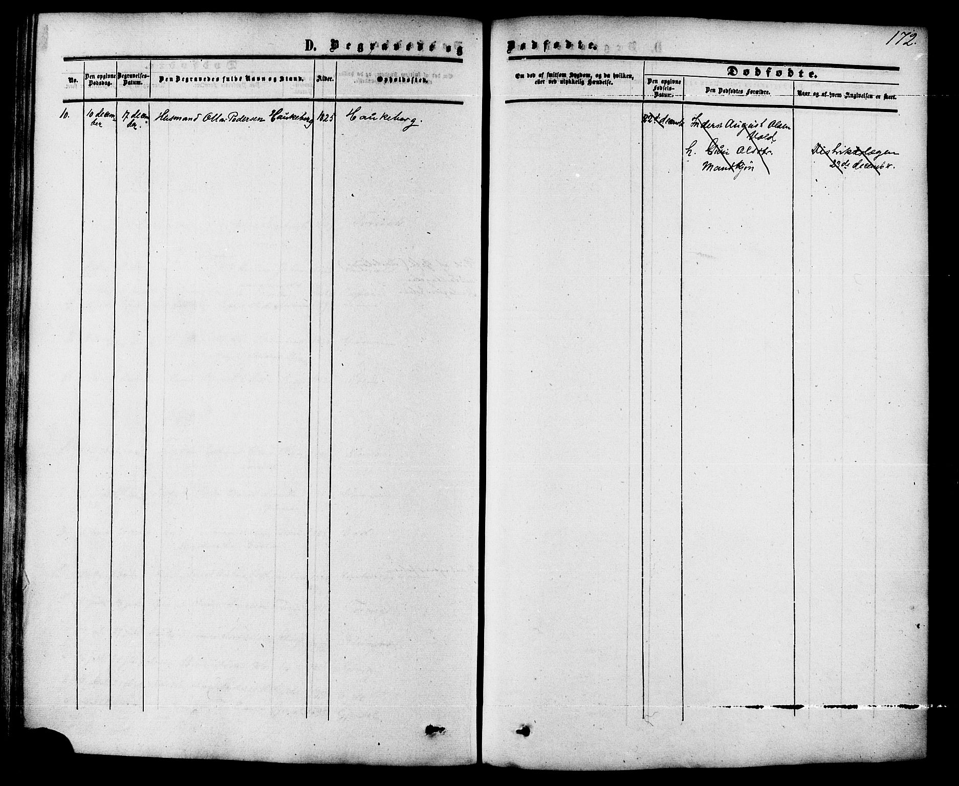 Ministerialprotokoller, klokkerbøker og fødselsregistre - Møre og Romsdal, AV/SAT-A-1454/542/L0552: Parish register (official) no. 542A02, 1854-1884, p. 172