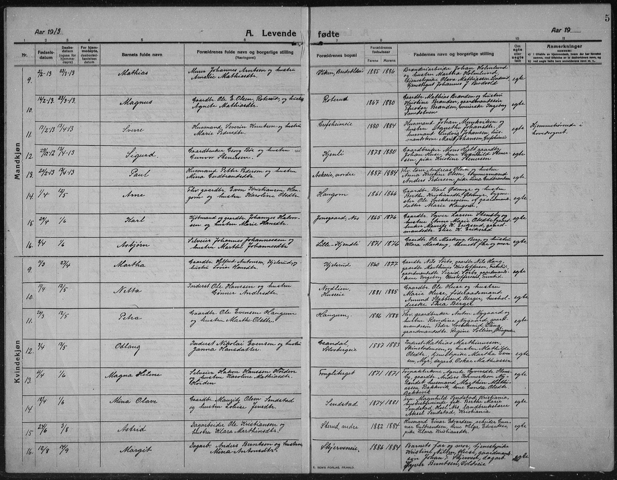 Nes prestekontor, Hedmark, SAH/PREST-020/L/La/L0009: Parish register (copy) no. 9, 1913-1936, p. 5