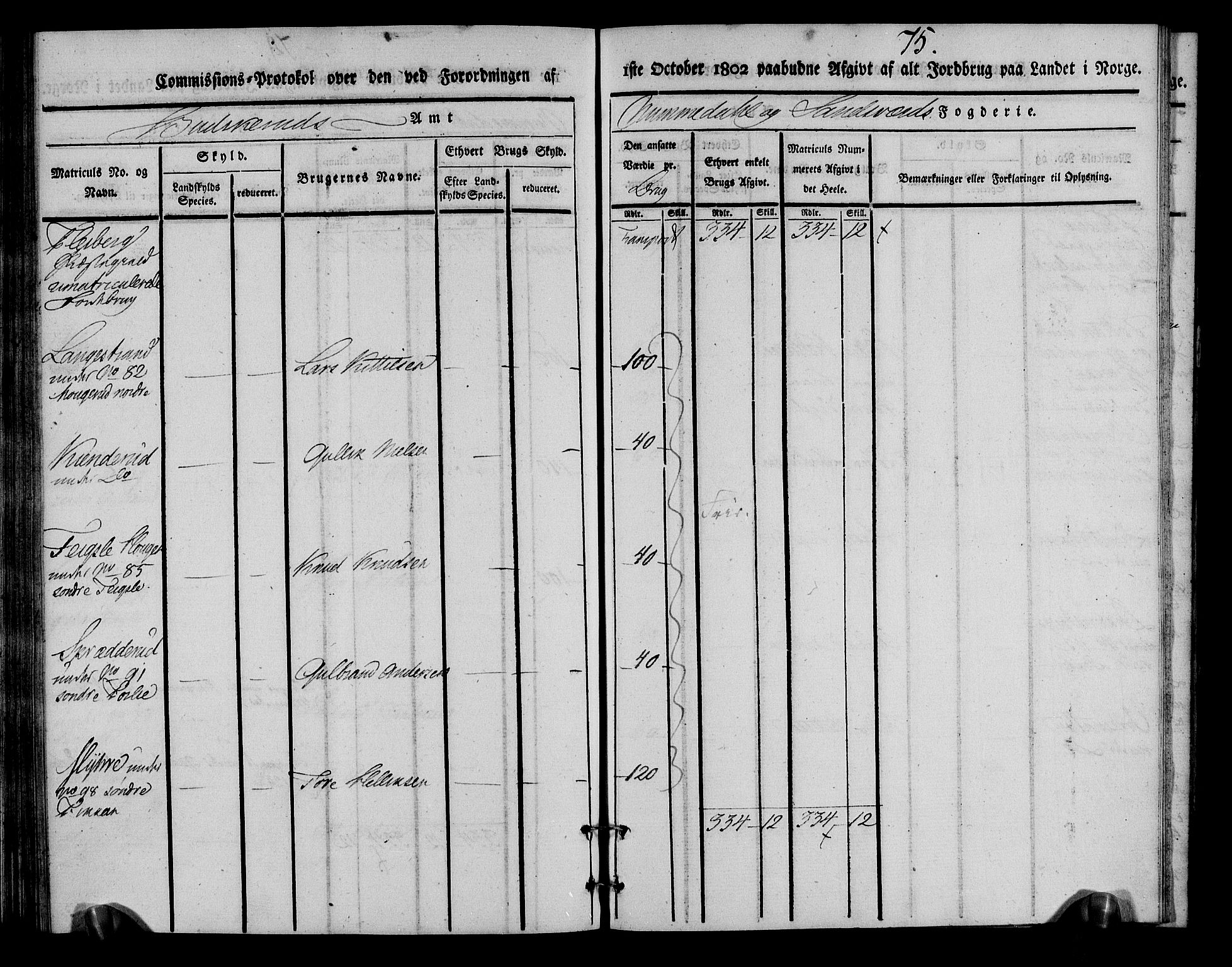 Rentekammeret inntil 1814, Realistisk ordnet avdeling, AV/RA-EA-4070/N/Ne/Nea/L0055: Numedal og Sandsvær fogderi. Kommisjonsprotokoll for Flesberg prestegjeld, 1803, p. 76