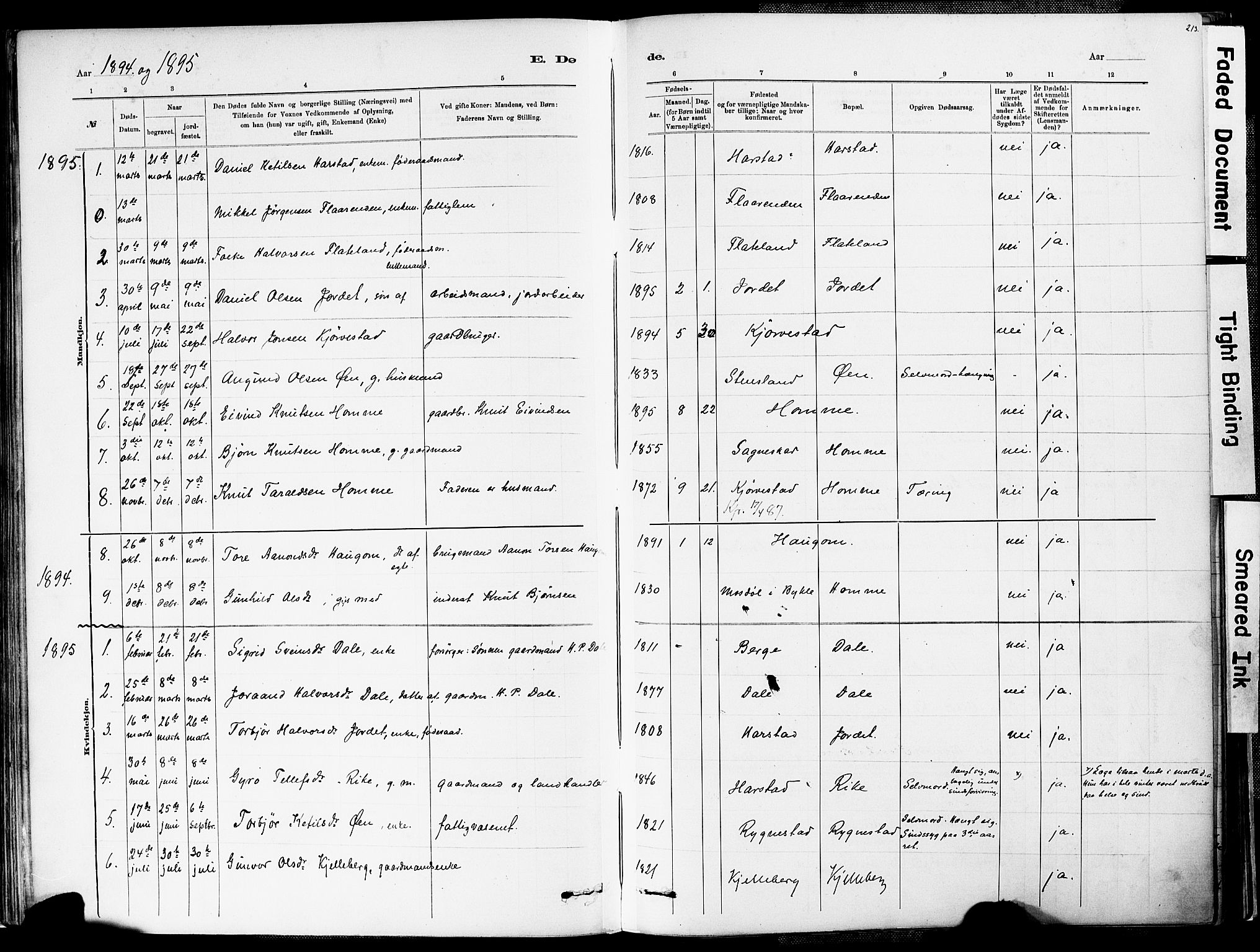 Valle sokneprestkontor, AV/SAK-1111-0044/F/Fa/Fac/L0009: Parish register (official) no. A 9, 1882-1913, p. 213