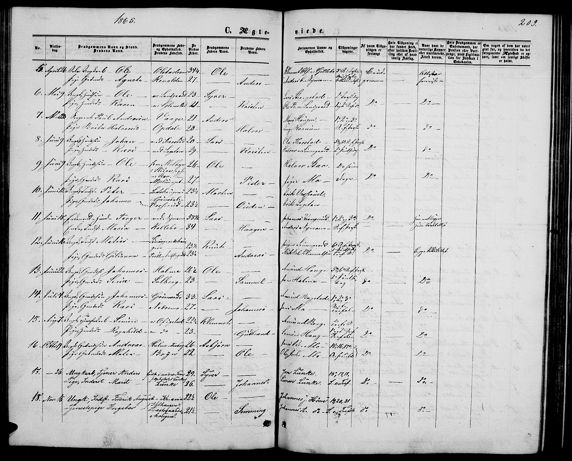 Øyer prestekontor, SAH/PREST-084/H/Ha/Hab/L0001: Parish register (copy) no. 1, 1863-1877, p. 209