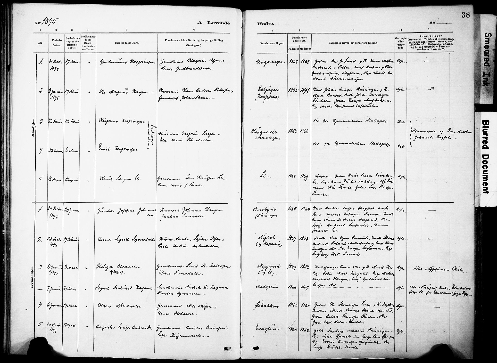 Nordre Land prestekontor, SAH/PREST-124/H/Ha/Haa/L0005: Parish register (official) no. 5, 1882-1903, p. 38
