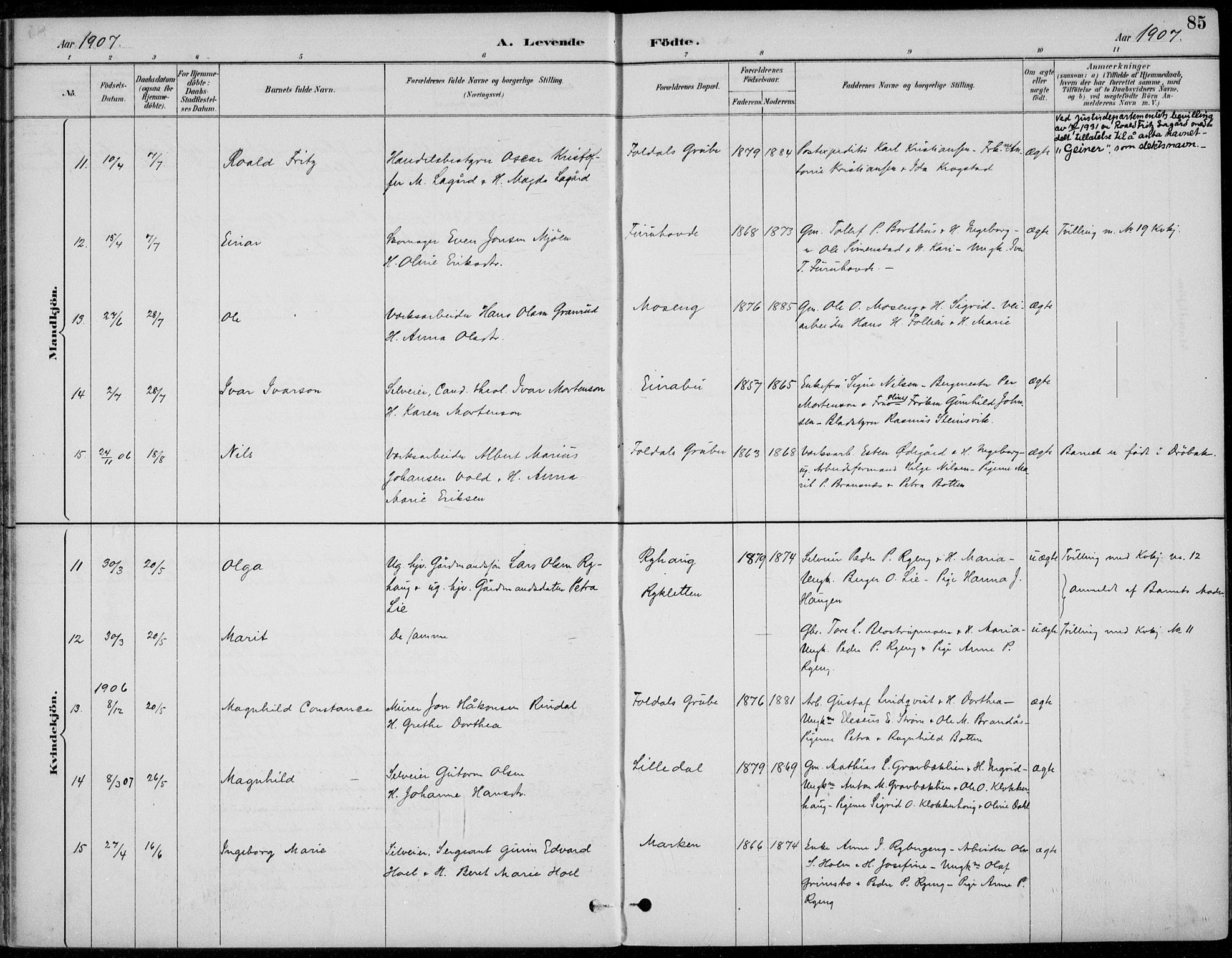 Alvdal prestekontor, AV/SAH-PREST-060/H/Ha/Haa/L0003: Parish register (official) no. 3, 1886-1912, p. 85