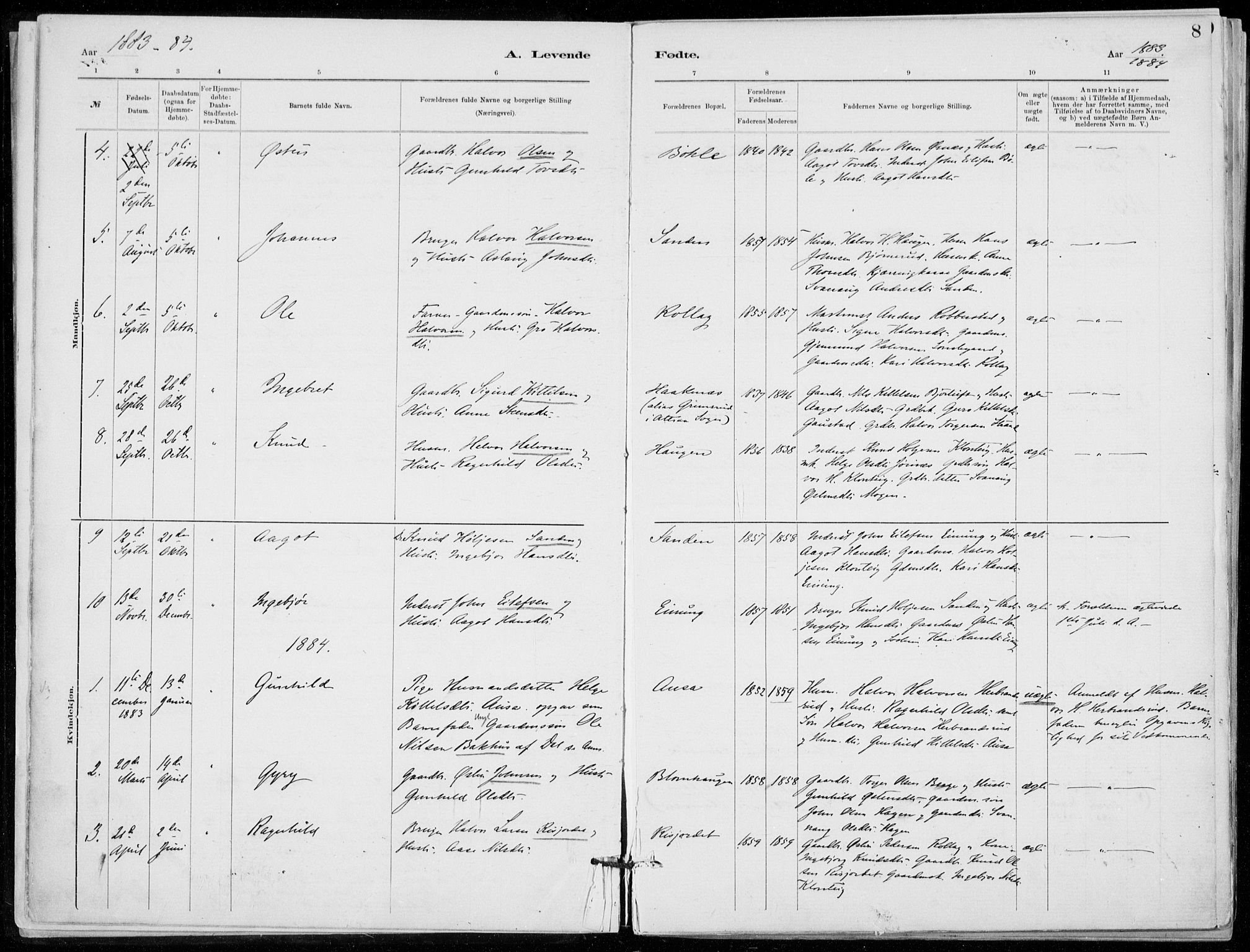 Tinn kirkebøker, SAKO/A-308/F/Fb/L0002: Parish register (official) no. II 2, 1878-1917, p. 8