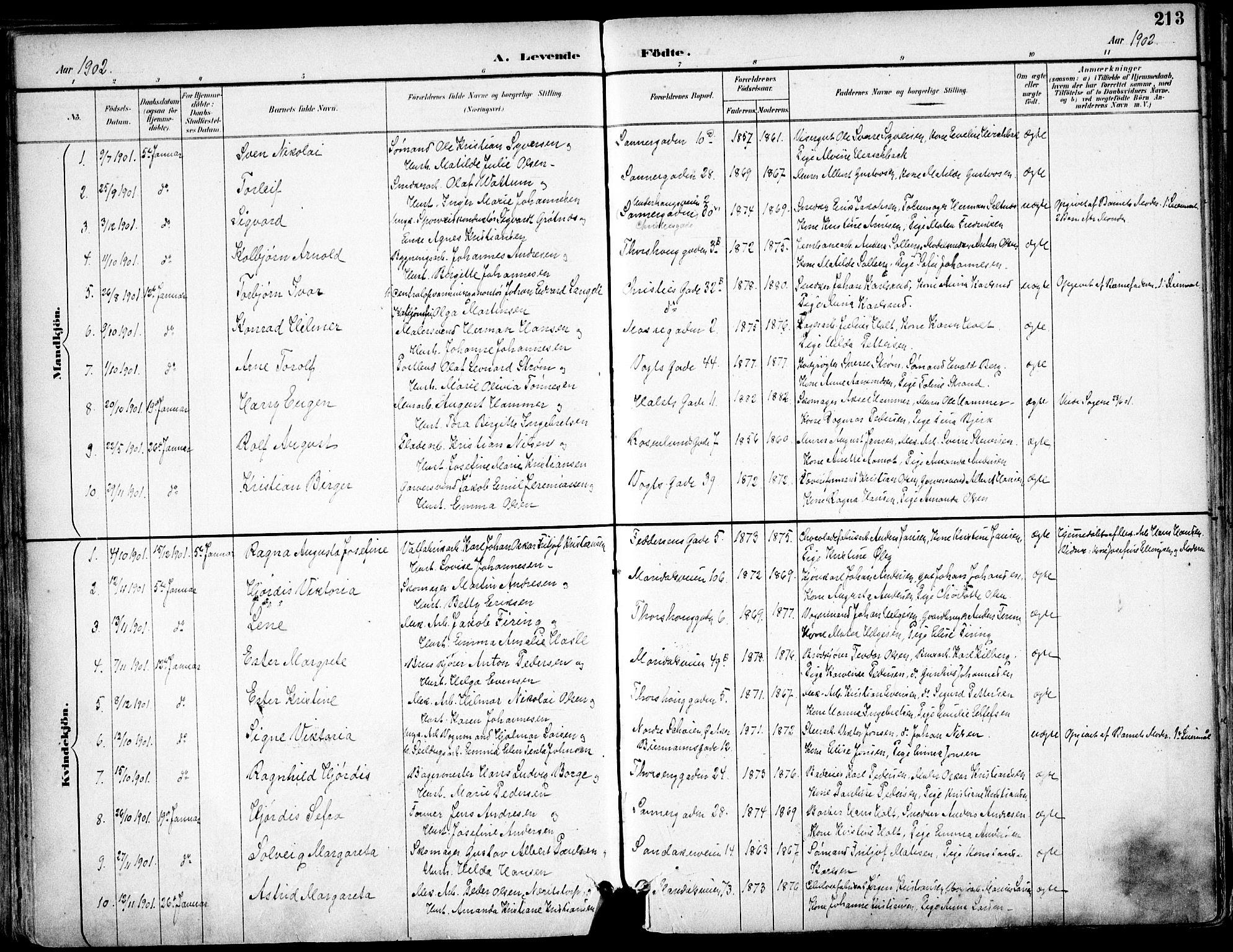 Sagene prestekontor Kirkebøker, SAO/A-10796/F/L0004: Parish register (official) no. 4, 1894-1904, p. 213
