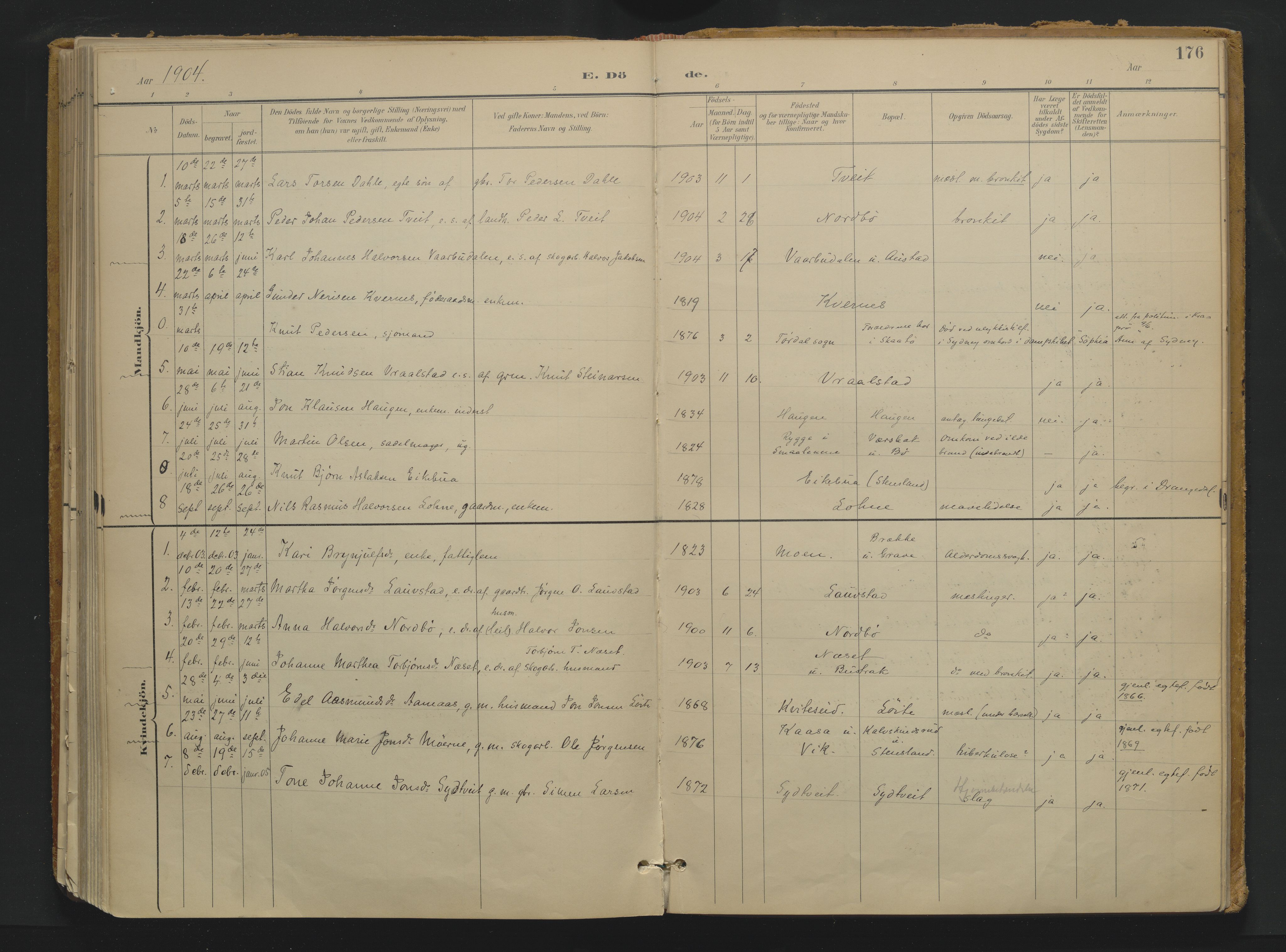 Drangedal kirkebøker, SAKO/A-258/F/Fa/L0013: Parish register (official) no. 13, 1895-1919, p. 176