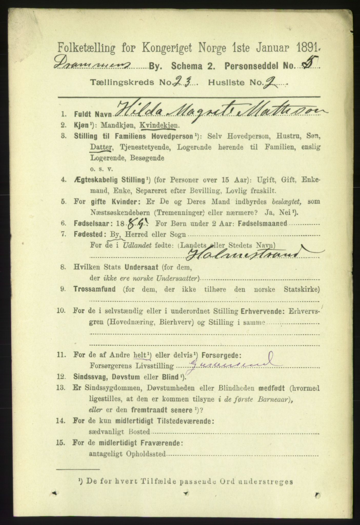 RA, 1891 census for 0602 Drammen, 1891, p. 14065