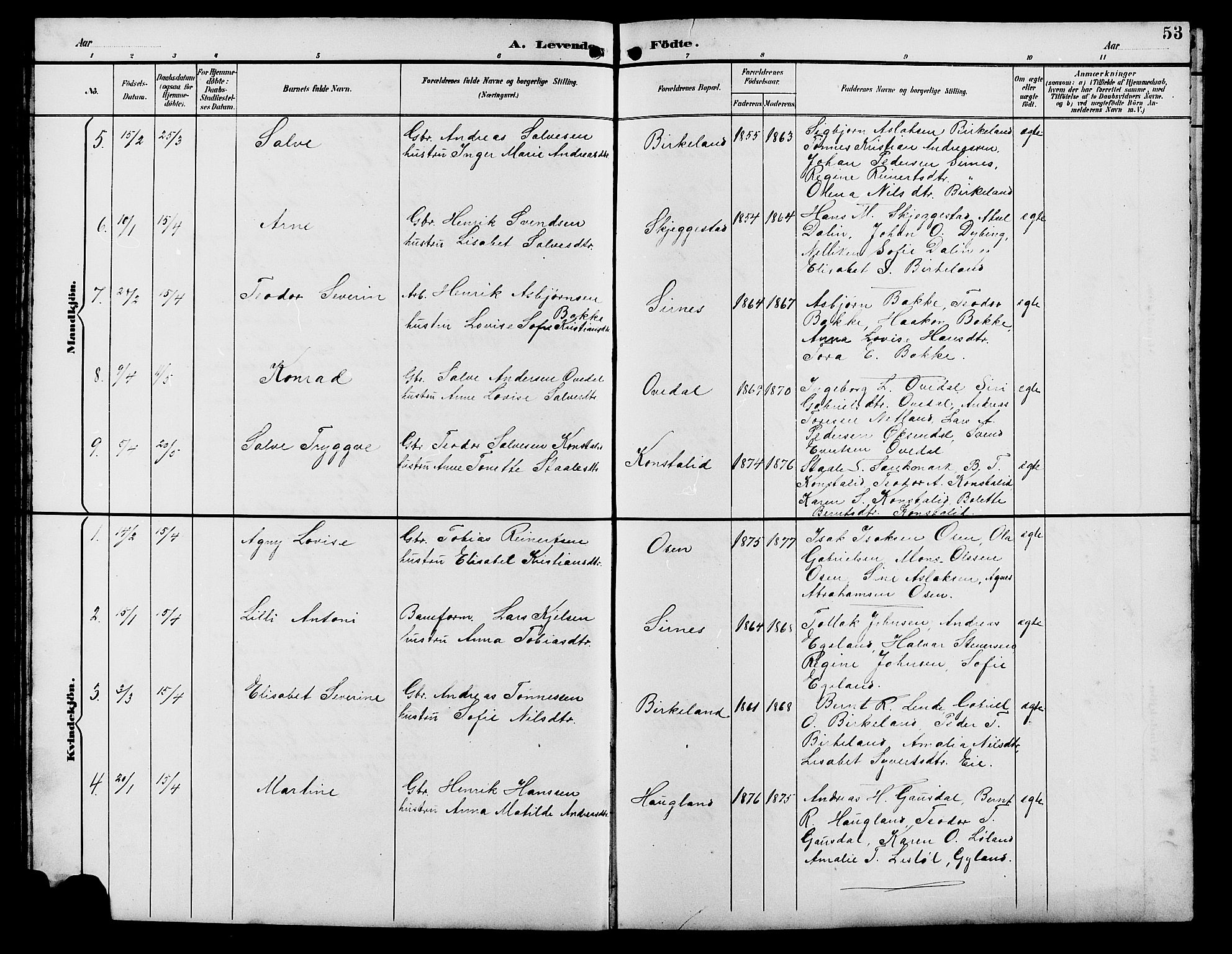 Bakke sokneprestkontor, SAK/1111-0002/F/Fb/Fba/L0003: Parish register (copy) no. B 3, 1894-1910, p. 53