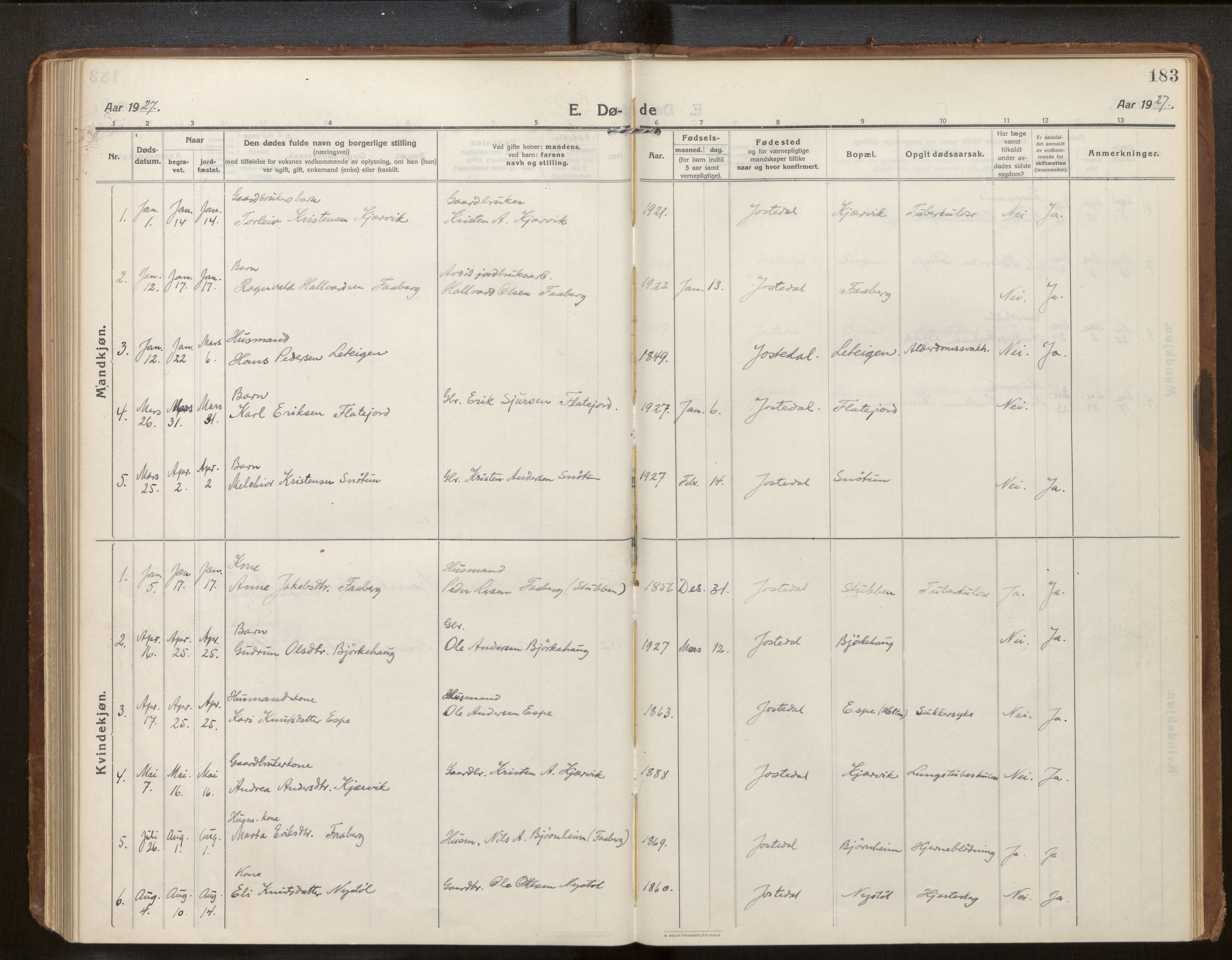 Jostedal sokneprestembete, SAB/A-80601/H/Haa/Haab/L0002: Parish register (official) no. B 2, 1915-1931, p. 183