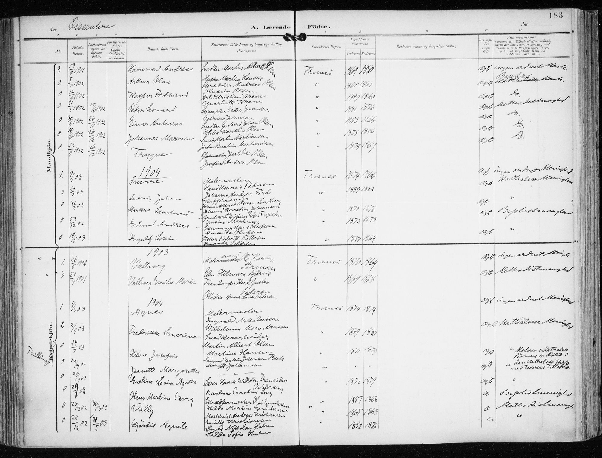 Tromsø sokneprestkontor/stiftsprosti/domprosti, AV/SATØ-S-1343/G/Ga/L0016kirke: Parish register (official) no. 16, 1899-1906, p. 183