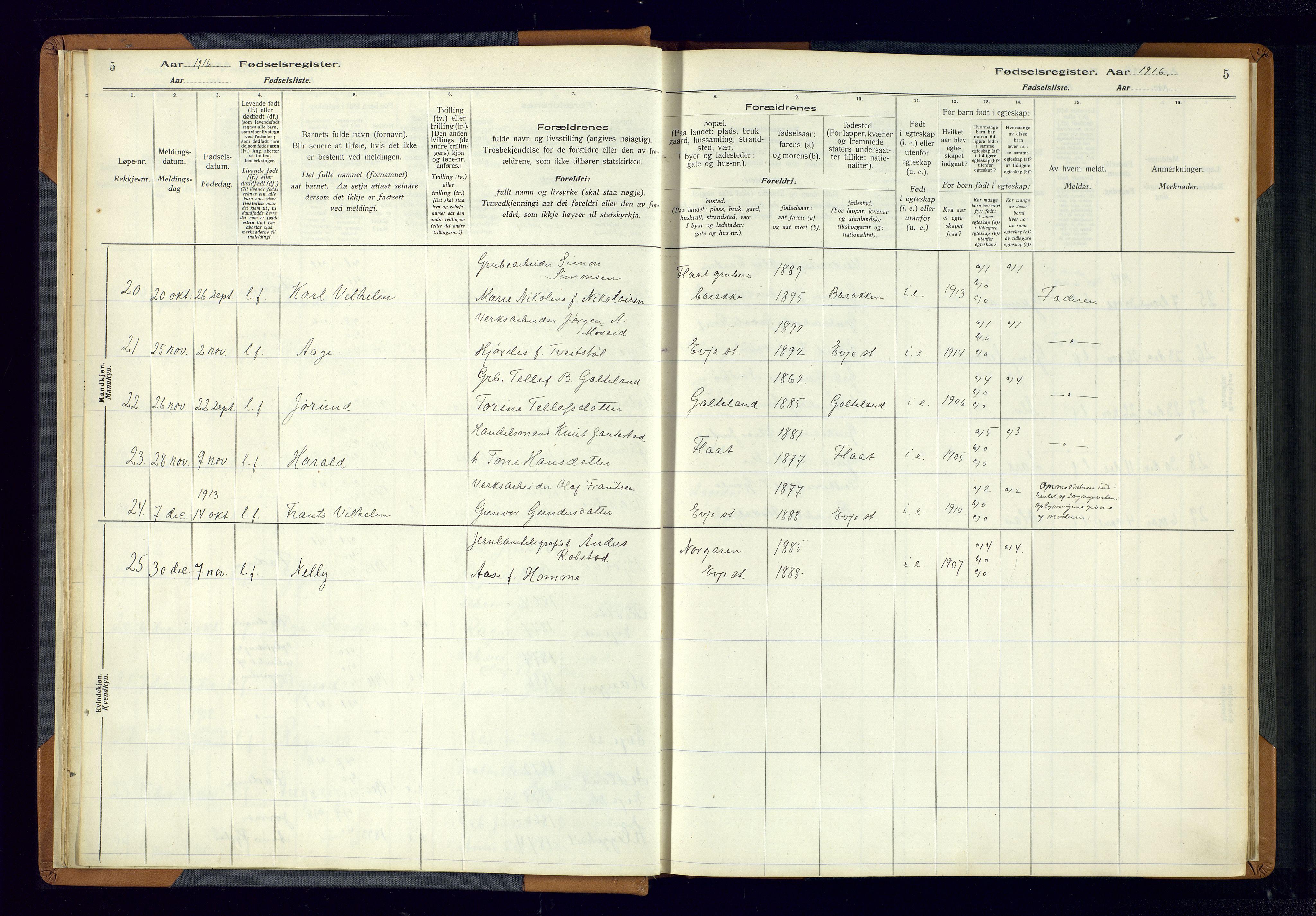 Evje sokneprestkontor, AV/SAK-1111-0008/J/Jc/L0004: Birth register no. 4, 1916-1968, p. 5