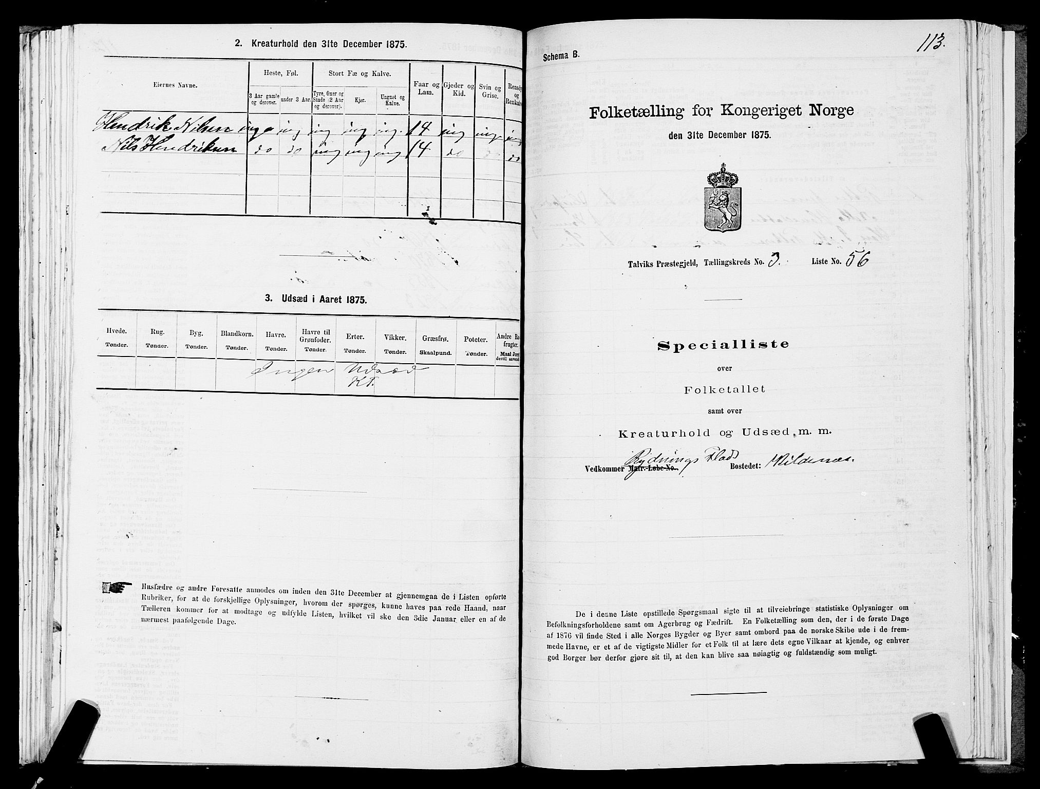 SATØ, 1875 census for 2013P Talvik, 1875, p. 2113