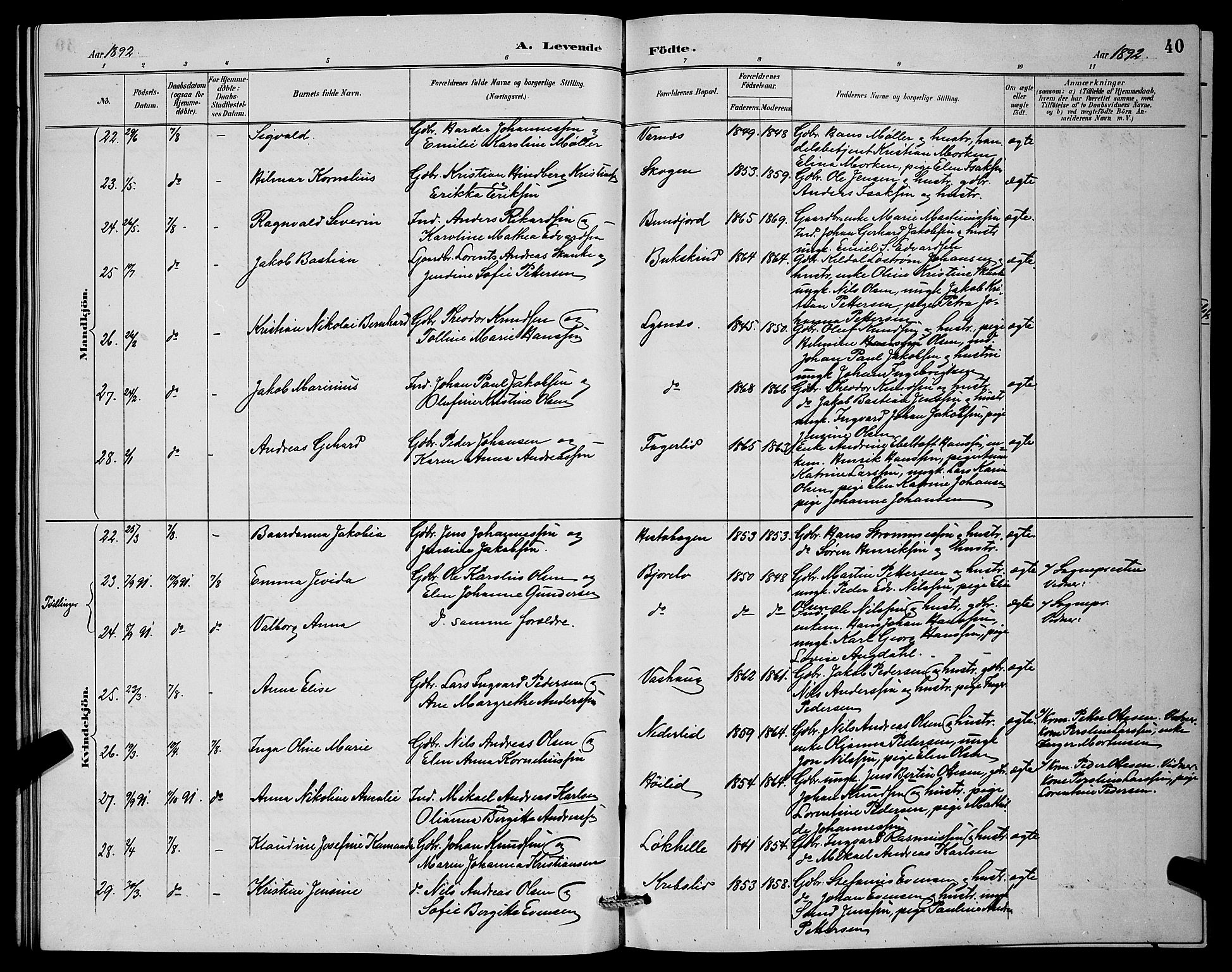 Lenvik sokneprestembete, SATØ/S-1310/H/Ha/Hab/L0007klokker: Parish register (copy) no. 7, 1890-1898, p. 40
