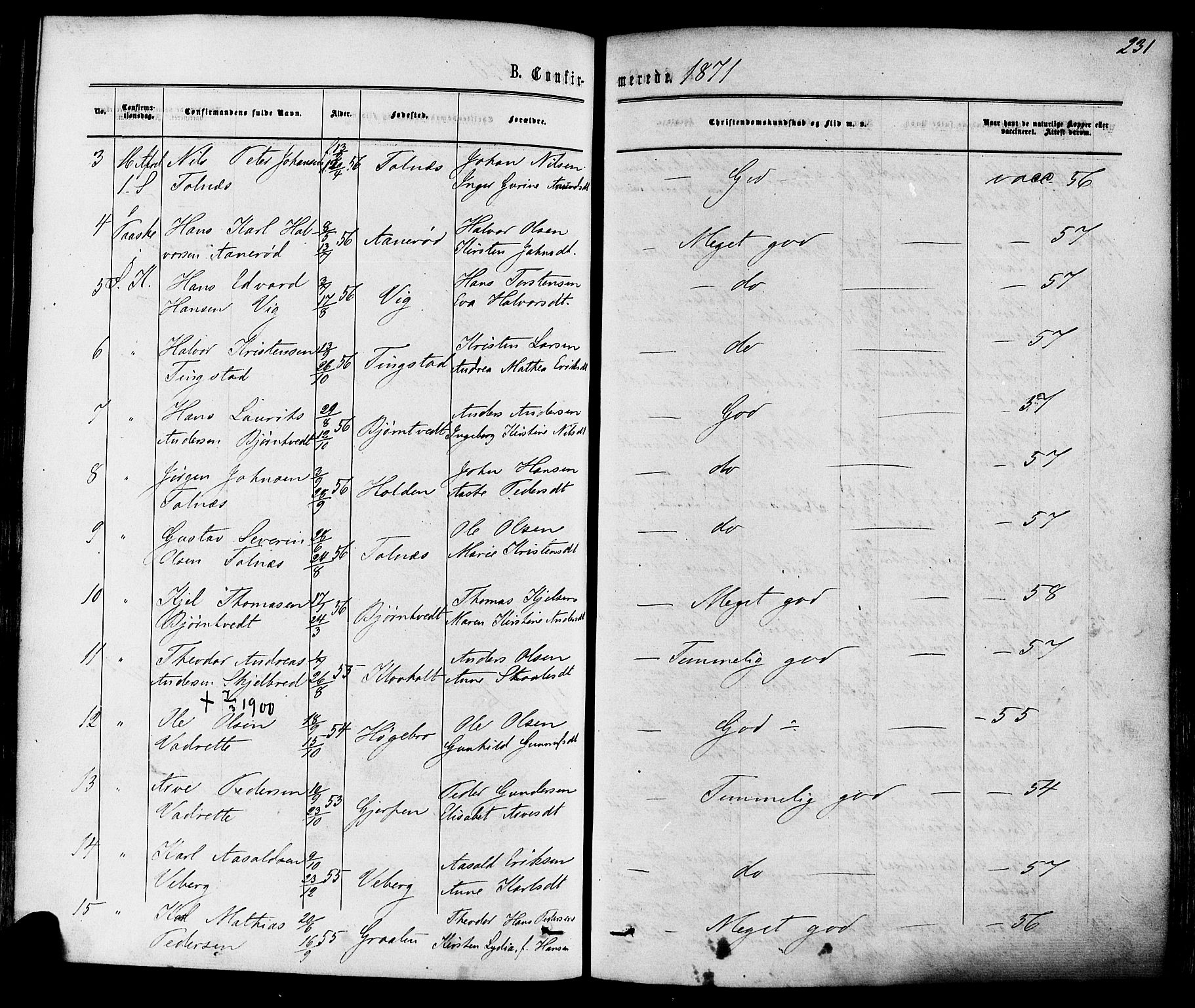 Solum kirkebøker, SAKO/A-306/F/Fa/L0008: Parish register (official) no. I 8, 1865-1876, p. 231
