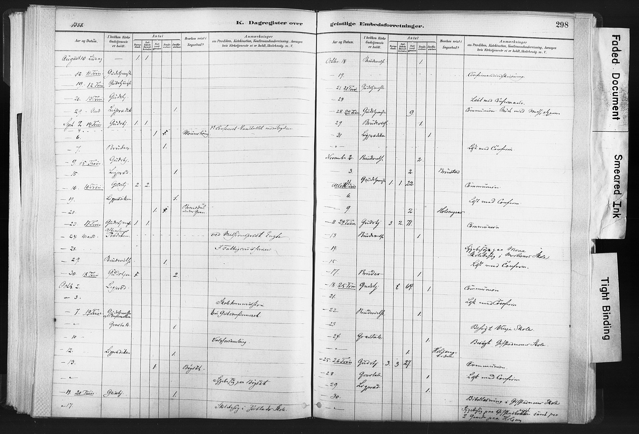 Ministerialprotokoller, klokkerbøker og fødselsregistre - Nord-Trøndelag, AV/SAT-A-1458/749/L0474: Parish register (official) no. 749A08, 1887-1903, p. 298