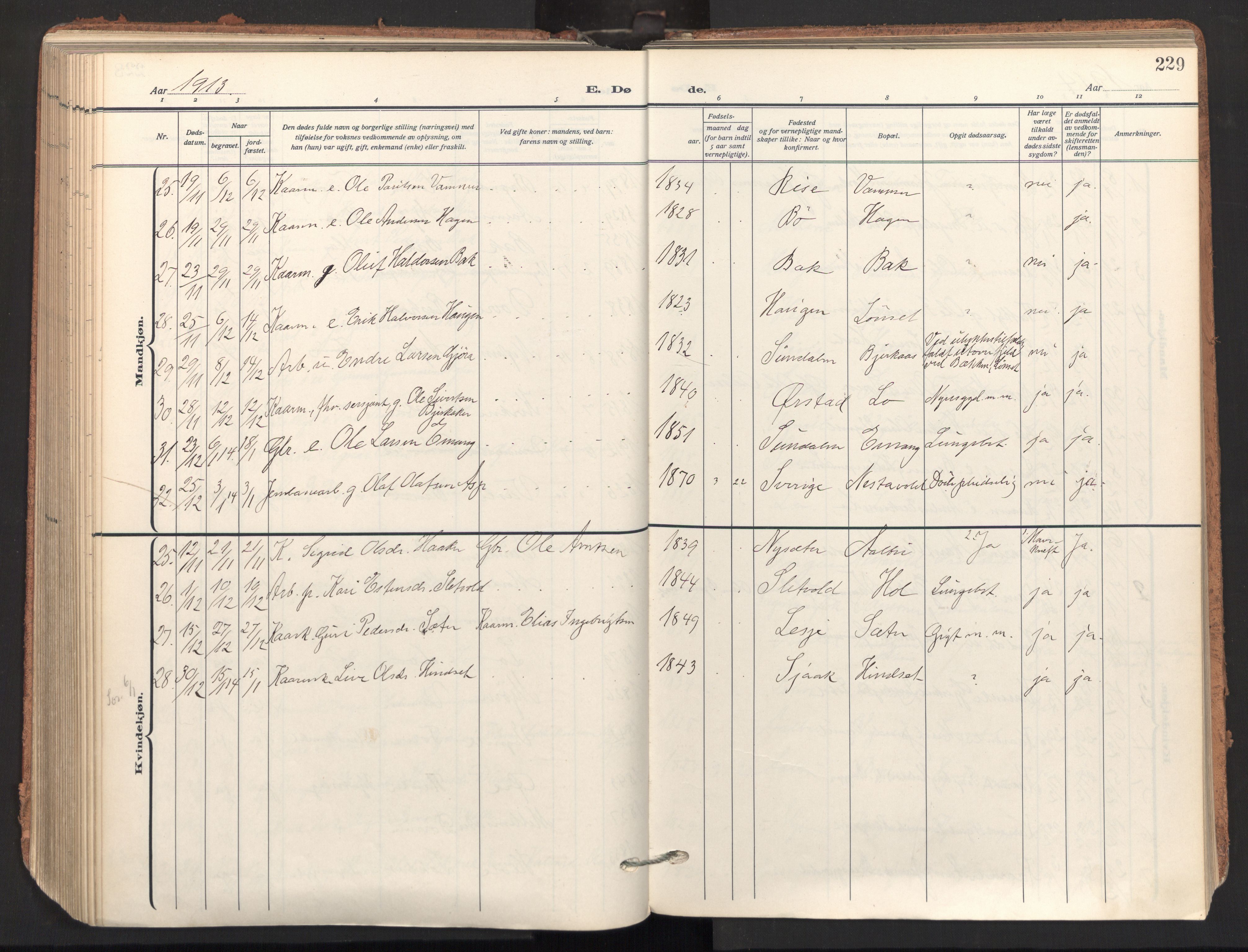 Ministerialprotokoller, klokkerbøker og fødselsregistre - Sør-Trøndelag, SAT/A-1456/678/L0909: Parish register (official) no. 678A17, 1912-1930, p. 229