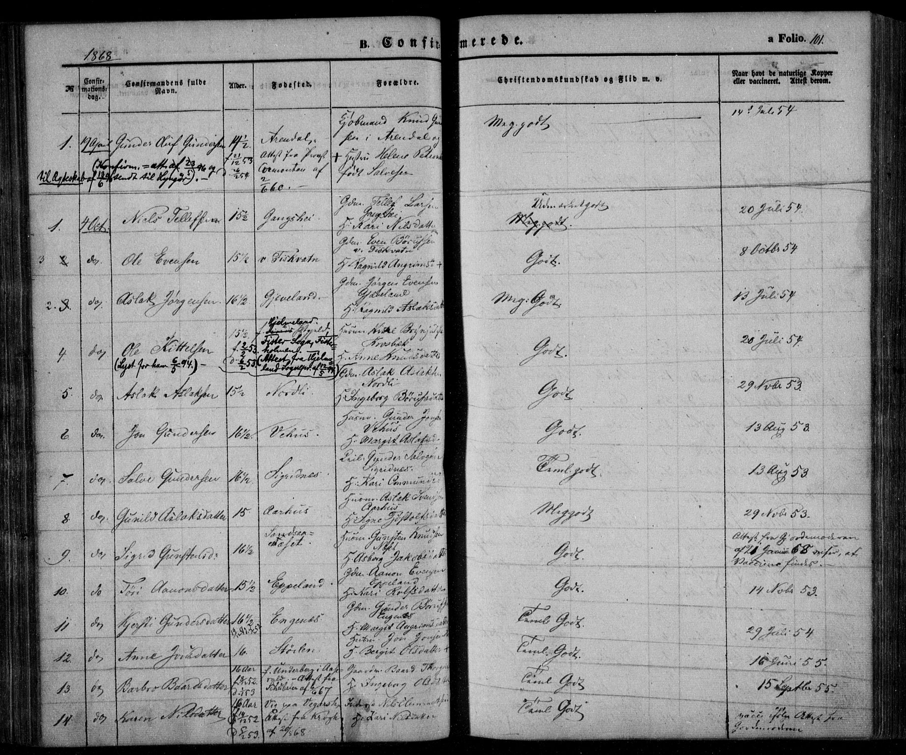 Åmli sokneprestkontor, SAK/1111-0050/F/Fa/Fac/L0008: Parish register (official) no. A 8, 1852-1869, p. 101