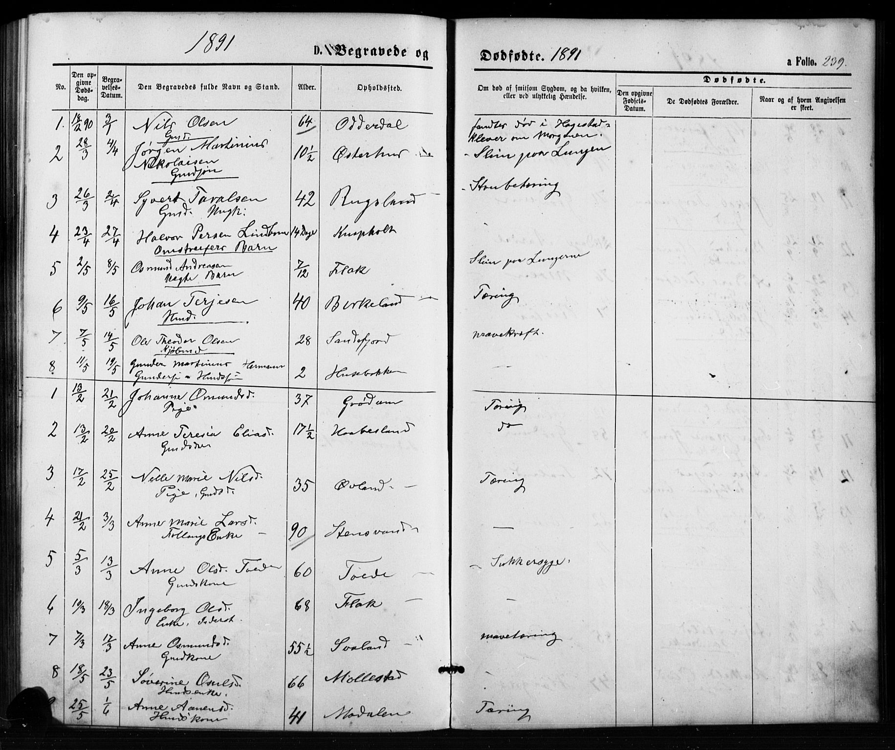 Birkenes sokneprestkontor, AV/SAK-1111-0004/F/Fb/L0003: Parish register (copy) no. B 3, 1876-1892, p. 239