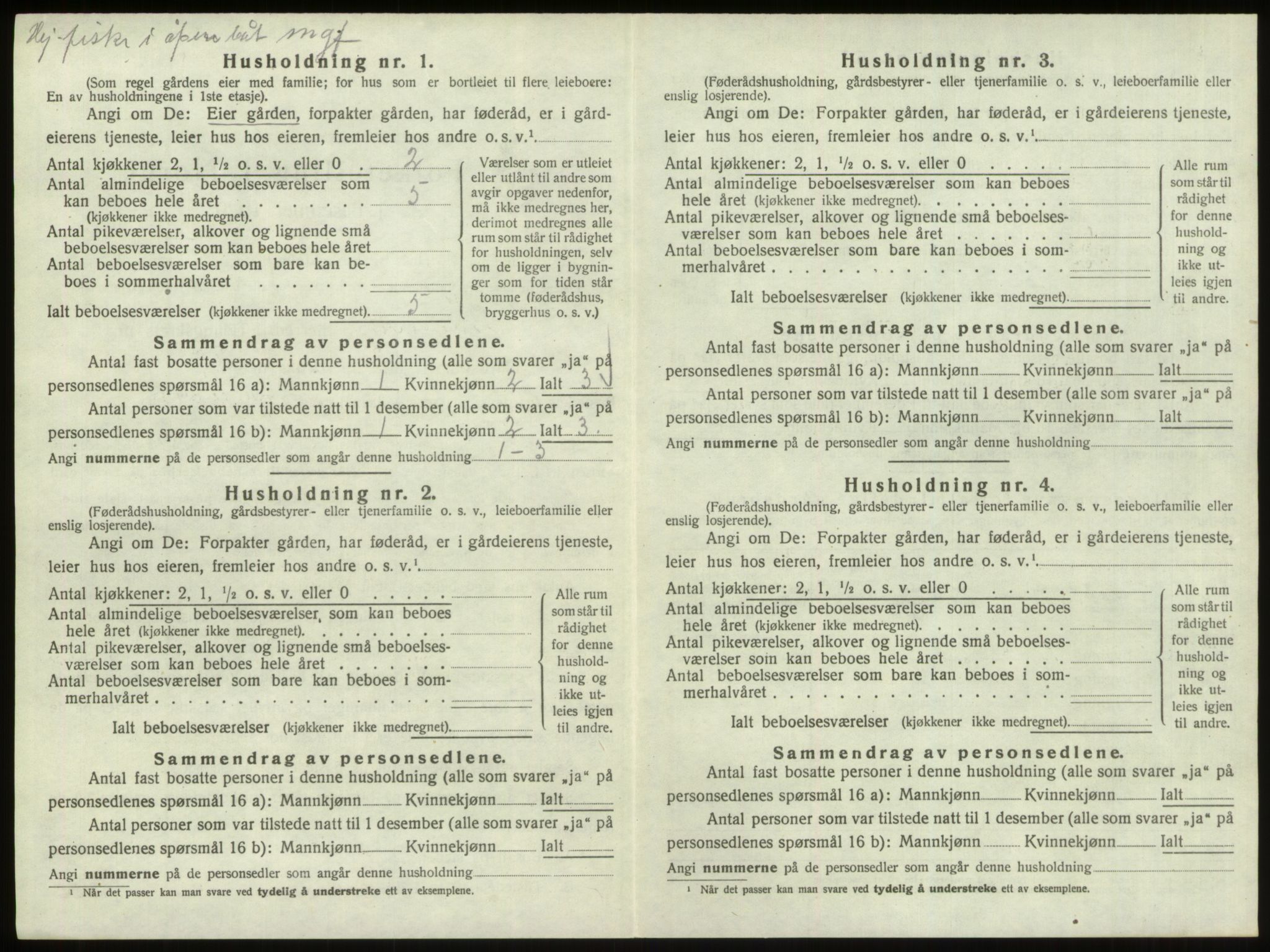 SAO, 1920 census for Hvaler, 1920, p. 1312