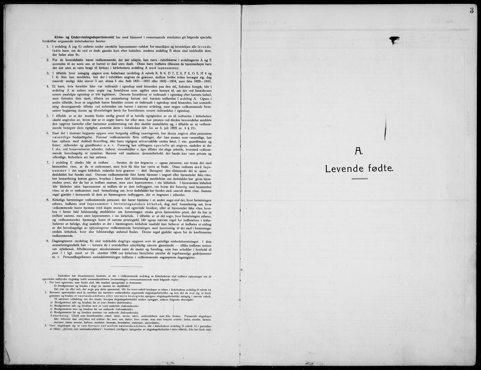 Nordre Land prestekontor, SAH/PREST-124/H/Ha/Hab/L0002: Parish register (copy) no. 2, 1909-1934, p. 3