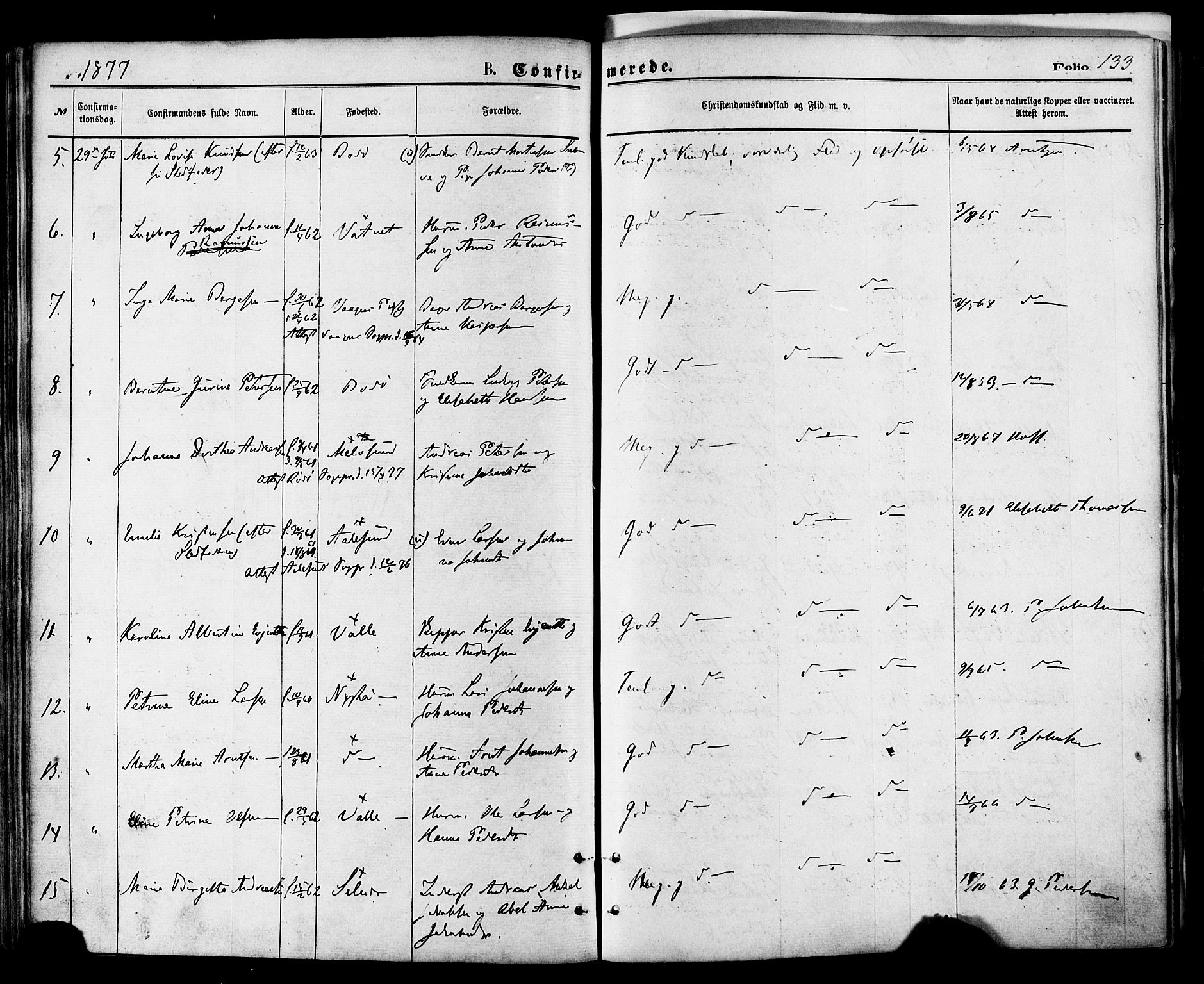 Ministerialprotokoller, klokkerbøker og fødselsregistre - Nordland, AV/SAT-A-1459/801/L0009: Parish register (official) no. 801A09, 1876-1883, p. 133