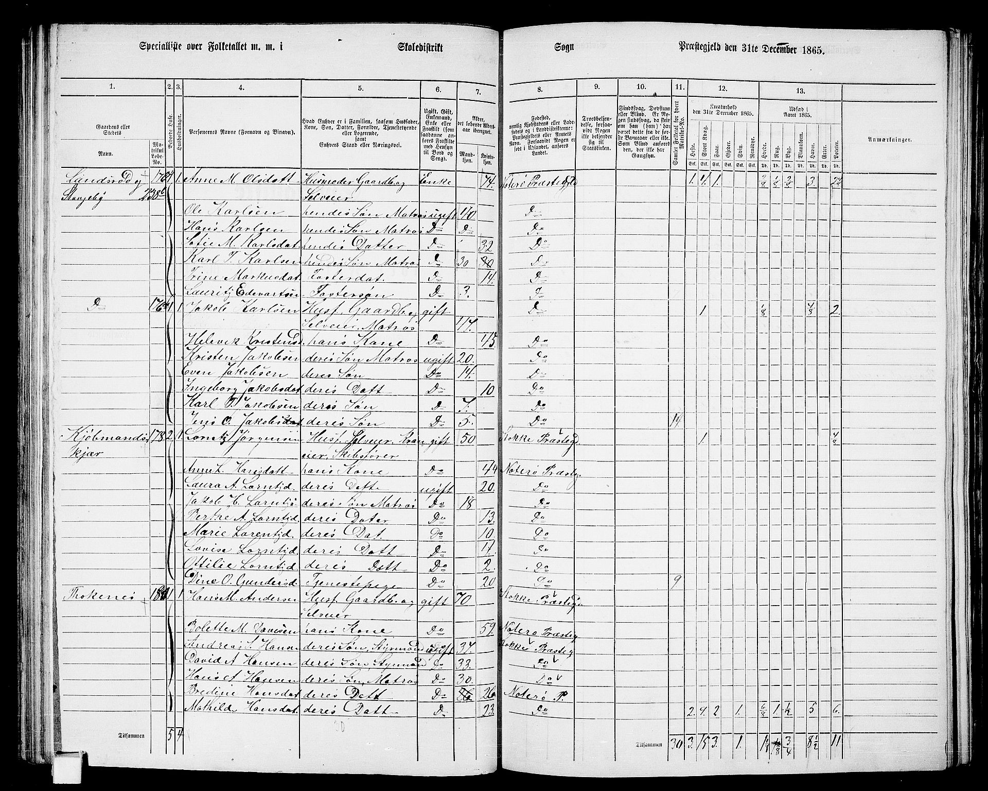 RA, 1865 census for Nøtterøy, 1865, p. 155