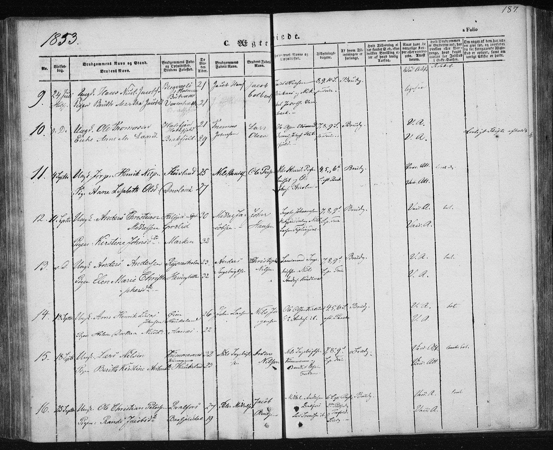 Ministerialprotokoller, klokkerbøker og fødselsregistre - Nordland, AV/SAT-A-1459/820/L0291: Parish register (official) no. 820A12, 1846-1854, p. 187