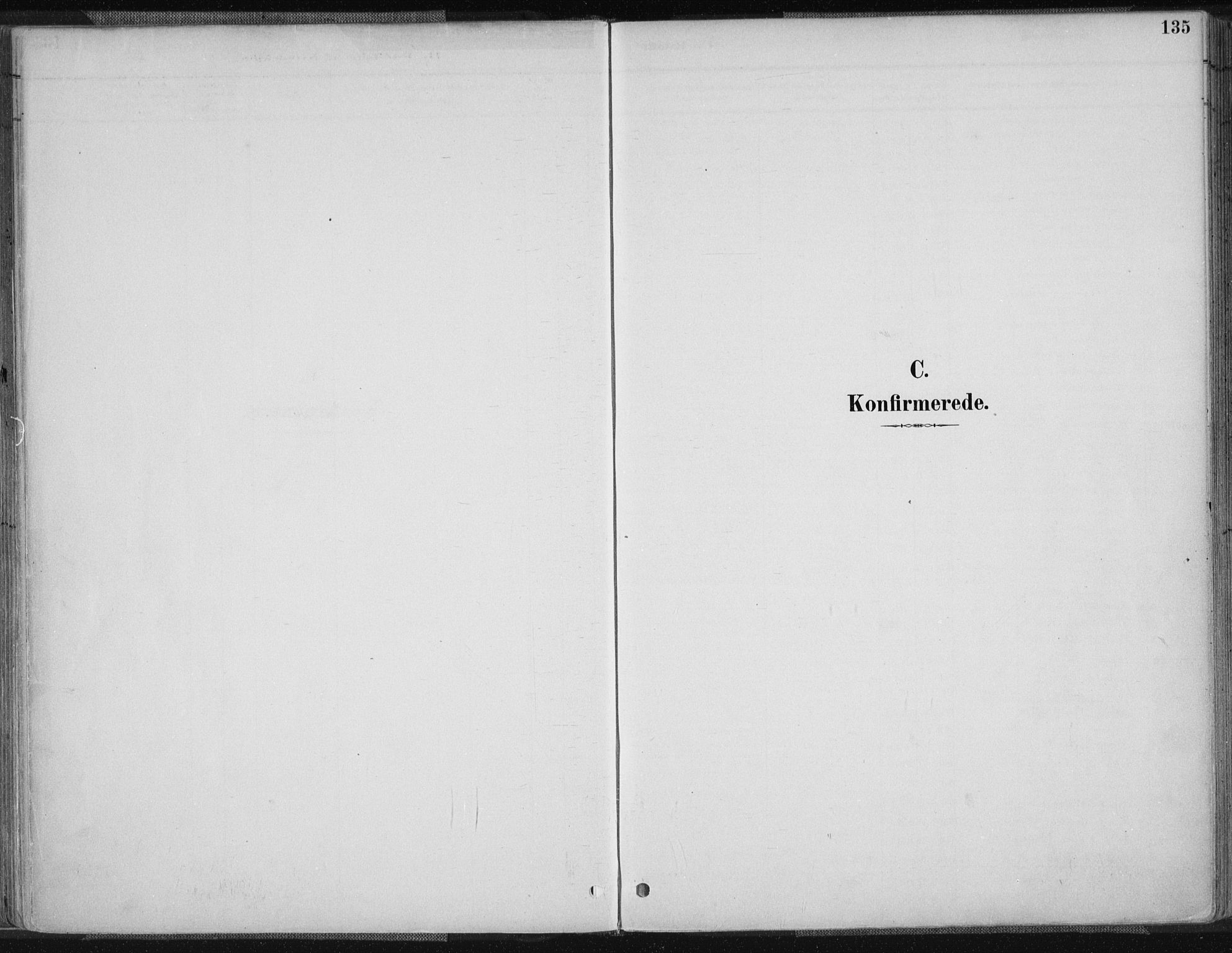 Tvedestrand sokneprestkontor, SAK/1111-0042/F/Fa/L0001: Parish register (official) no. A 1, 1885-1916, p. 135